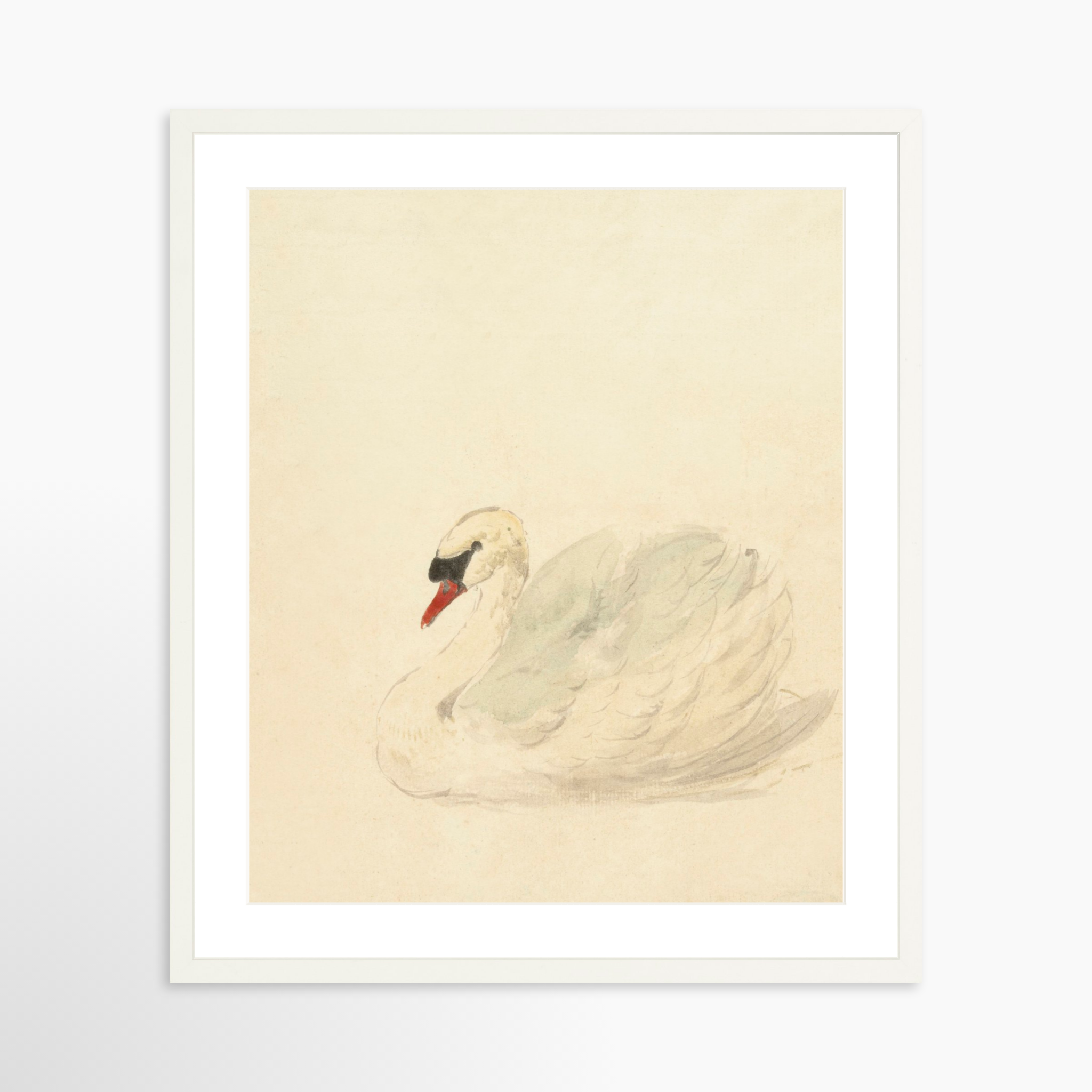 20x25 / White Frame + White Mat