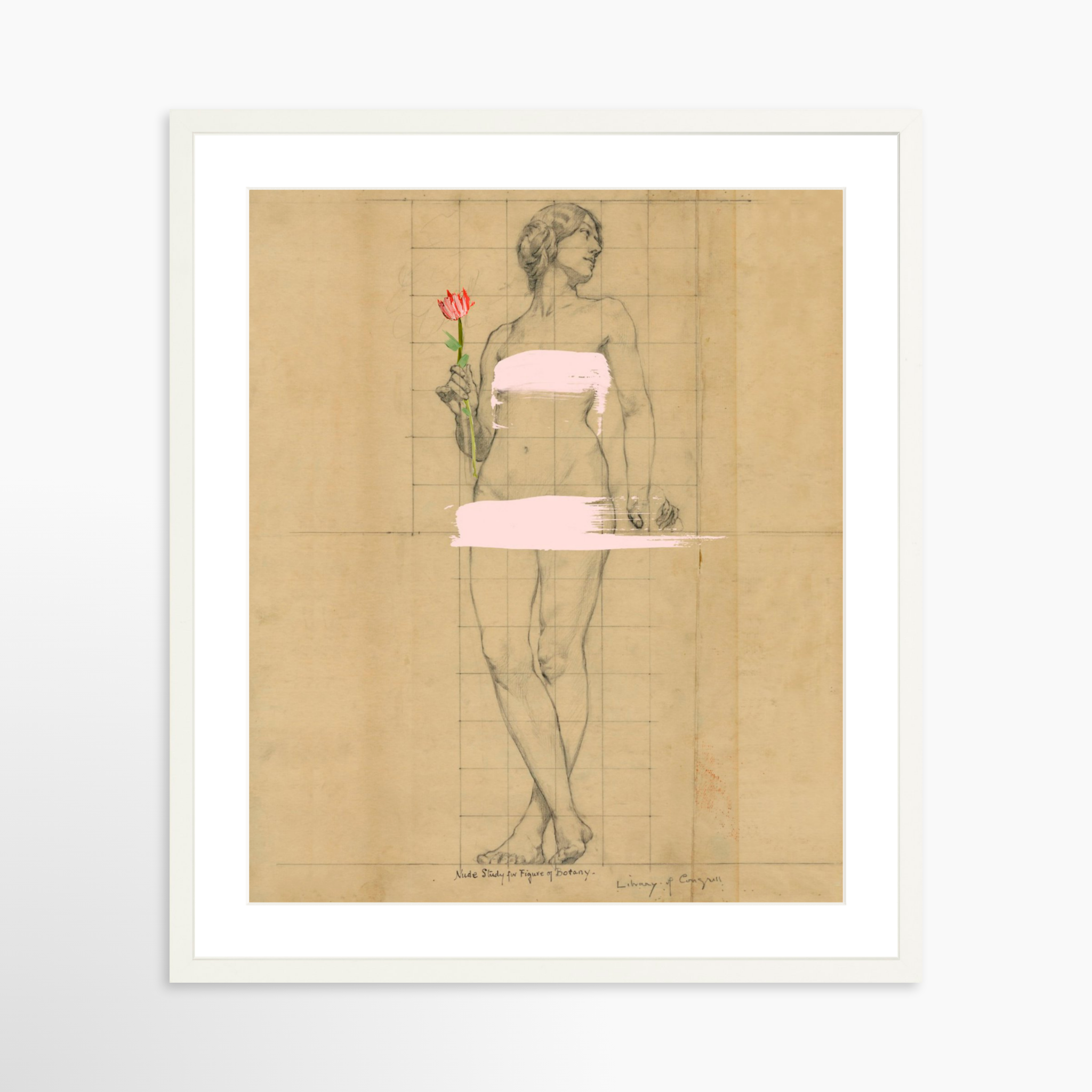 20x25 / White Frame + White Mat