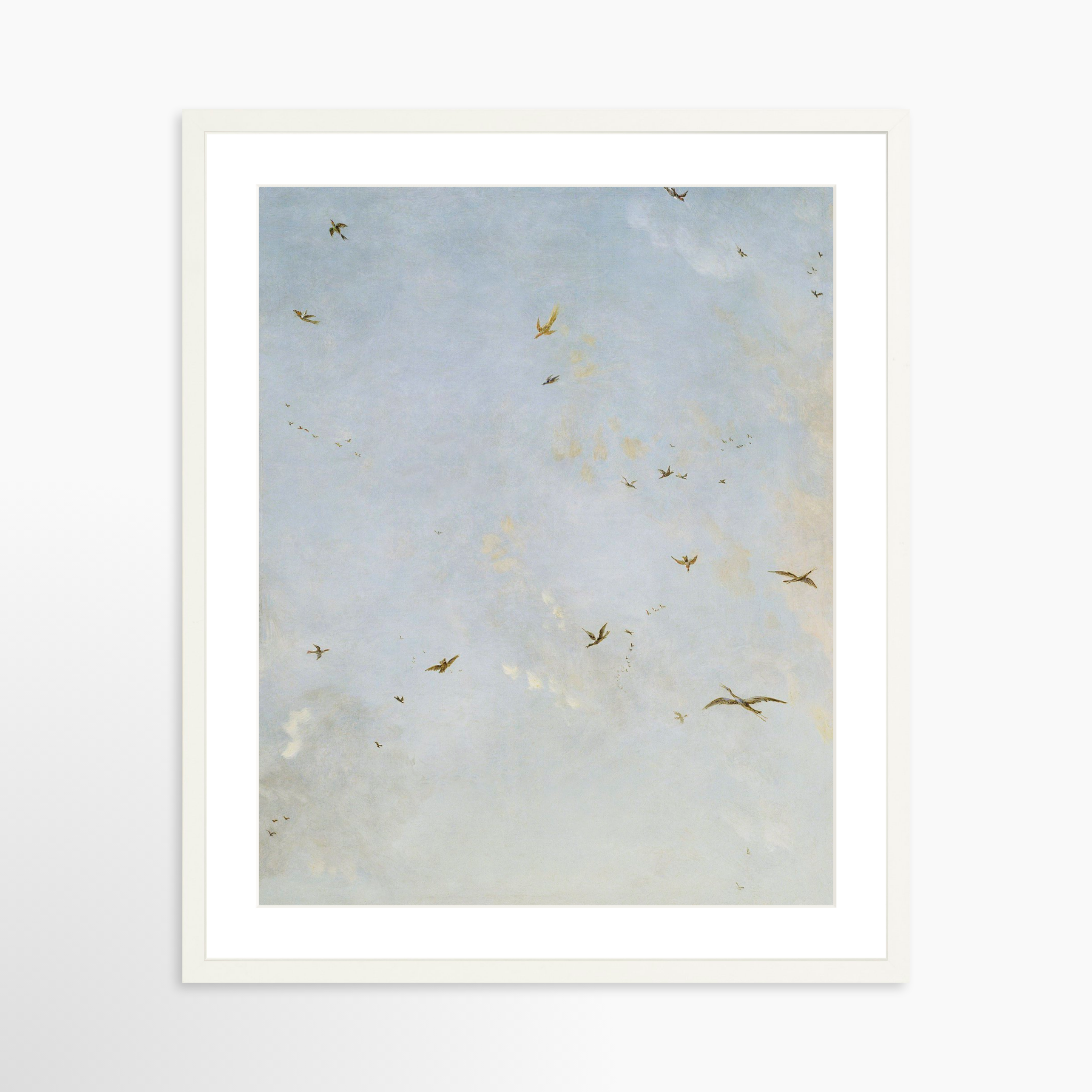 20x25 / White Frame + White Mat