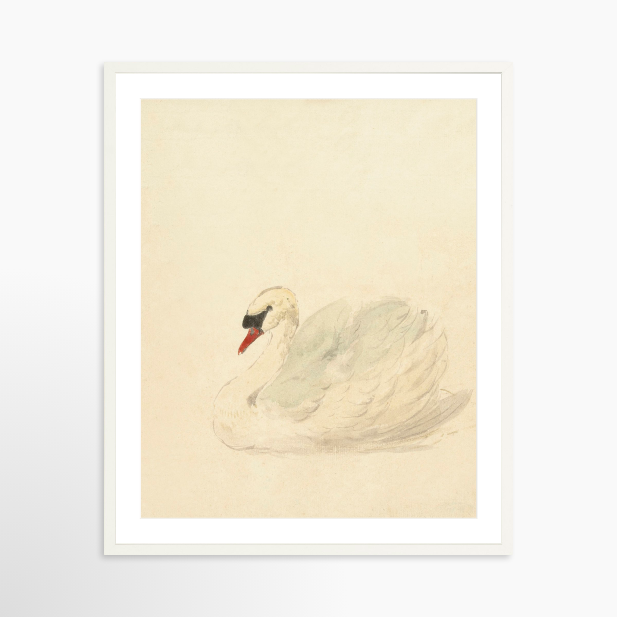 24x30 / White Frame + White Mat