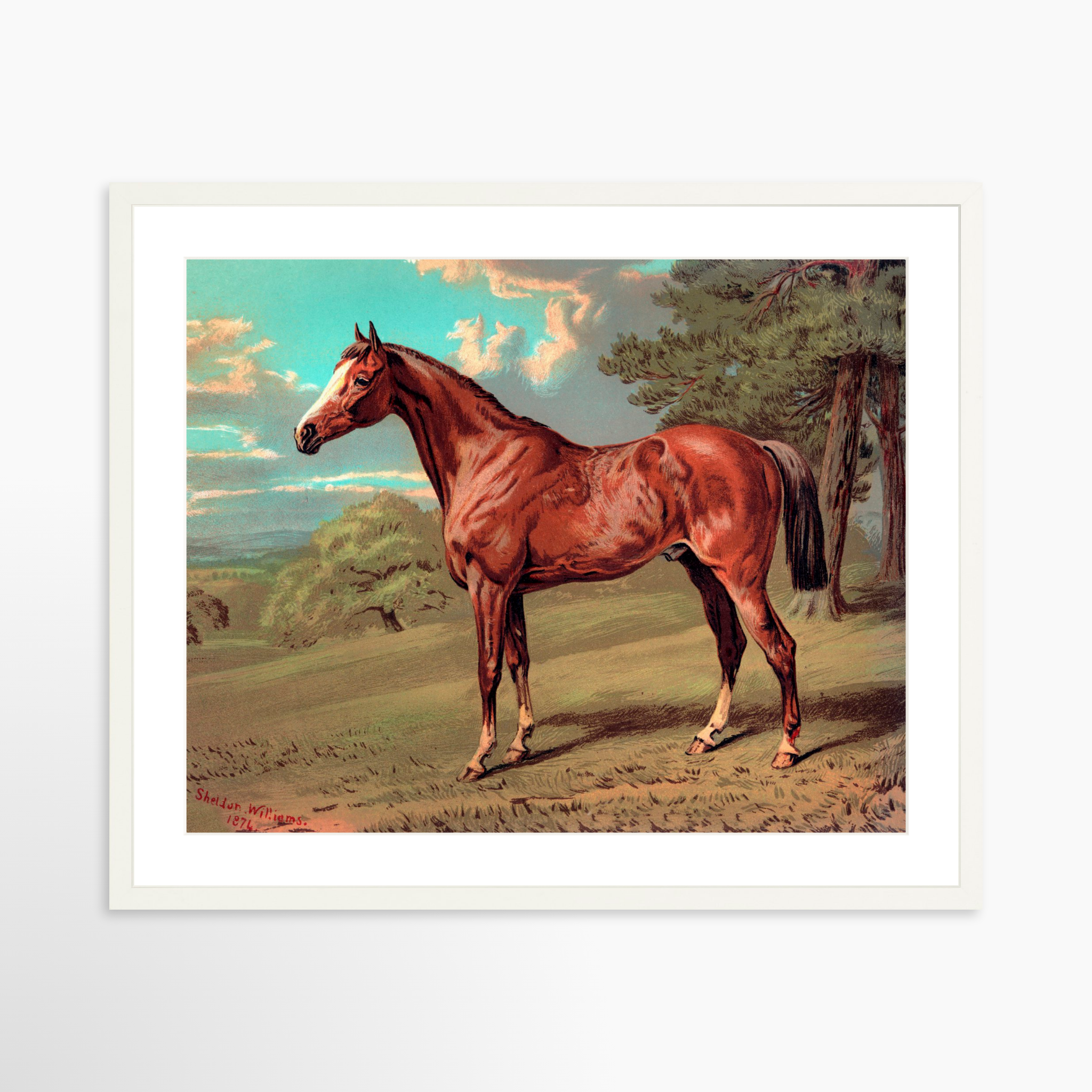 25x20 / White Frame + White Mat