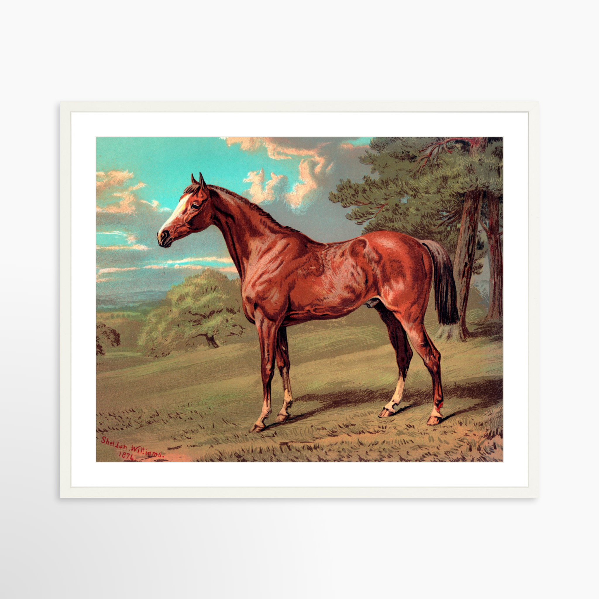 30x24 / White Frame + White Mat