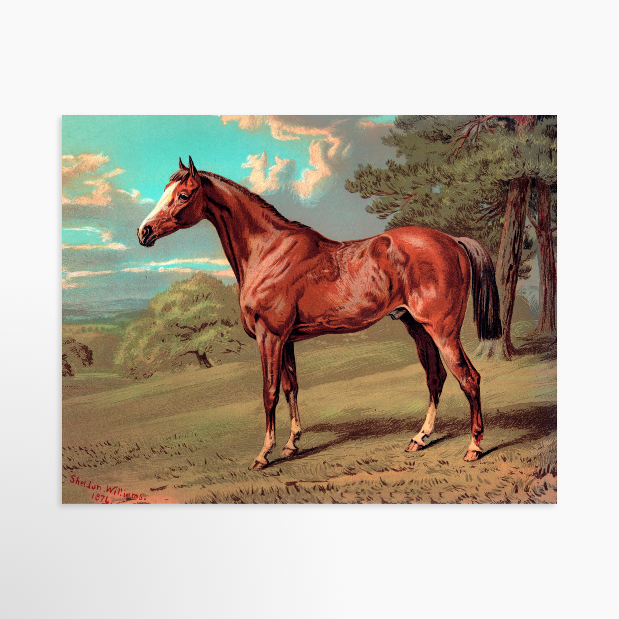 14x11 / Luxe Art Print (Unframed)