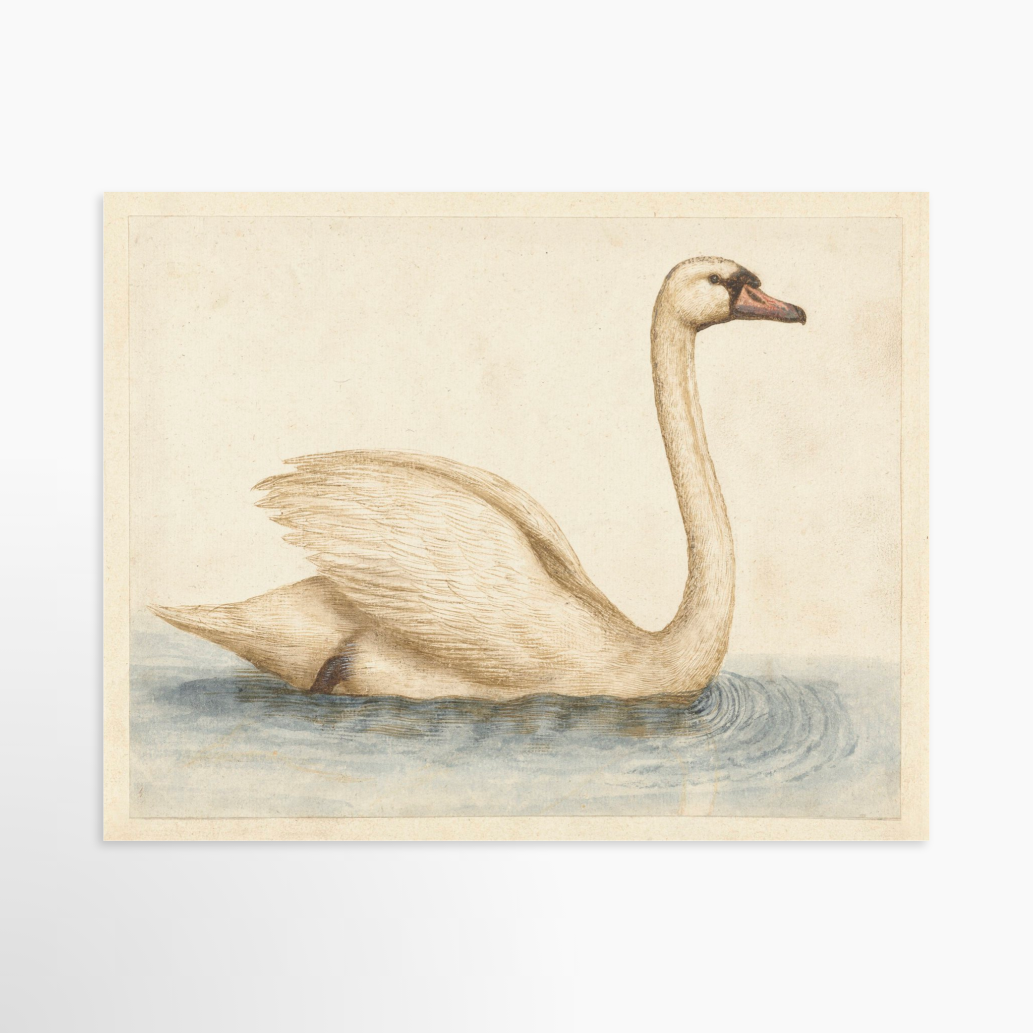 14x11 / Luxe Art Print (Unframed)