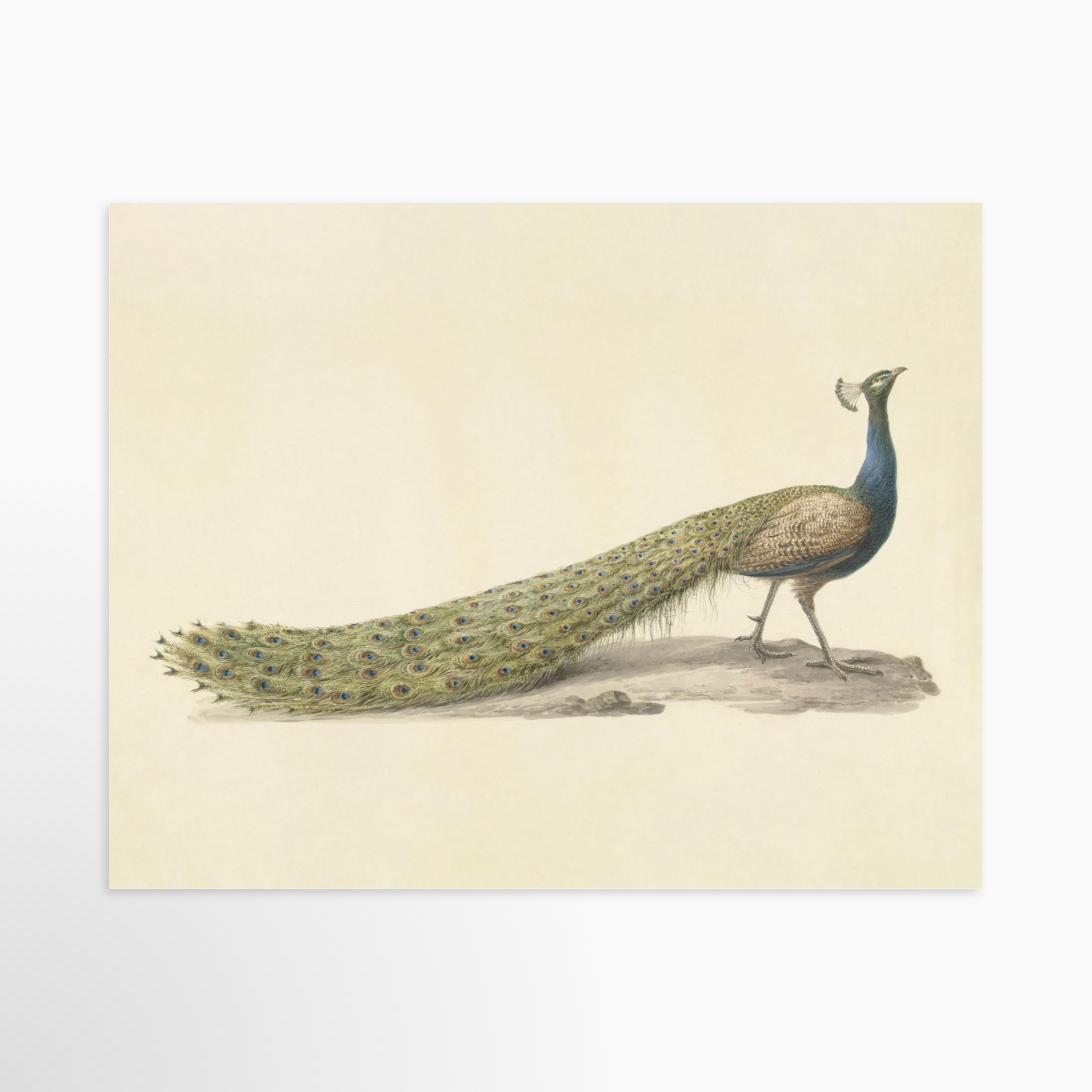 14x11 / Luxe Art Print (Unframed)