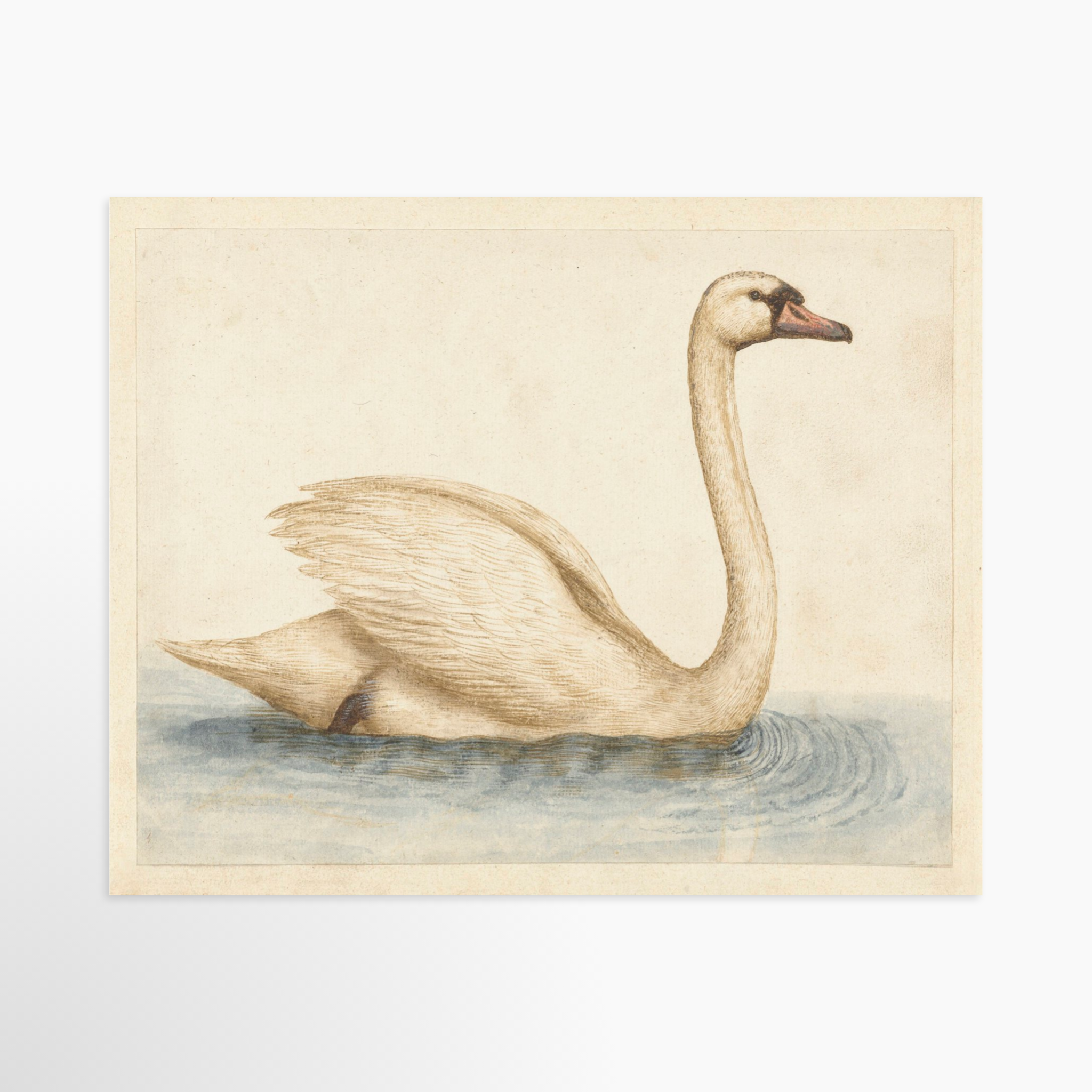 20x16 / Luxe Art Print (Unframed)