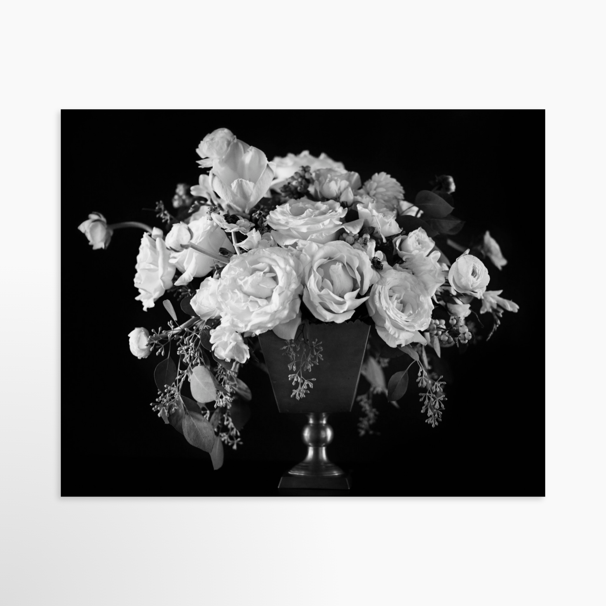20x16 / Luxe Art Print (Unframed)
