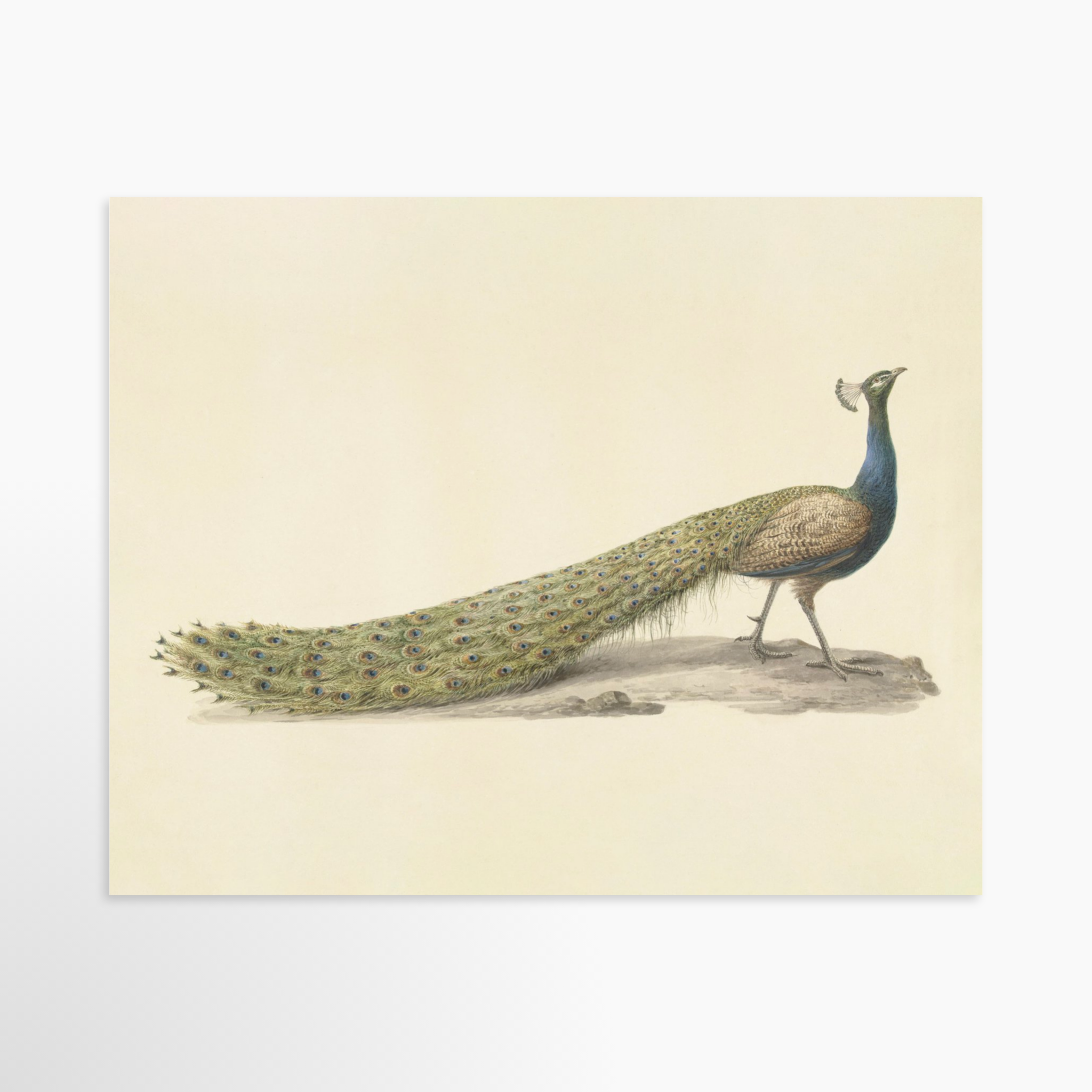 20x16 / Luxe Art Print (Unframed)