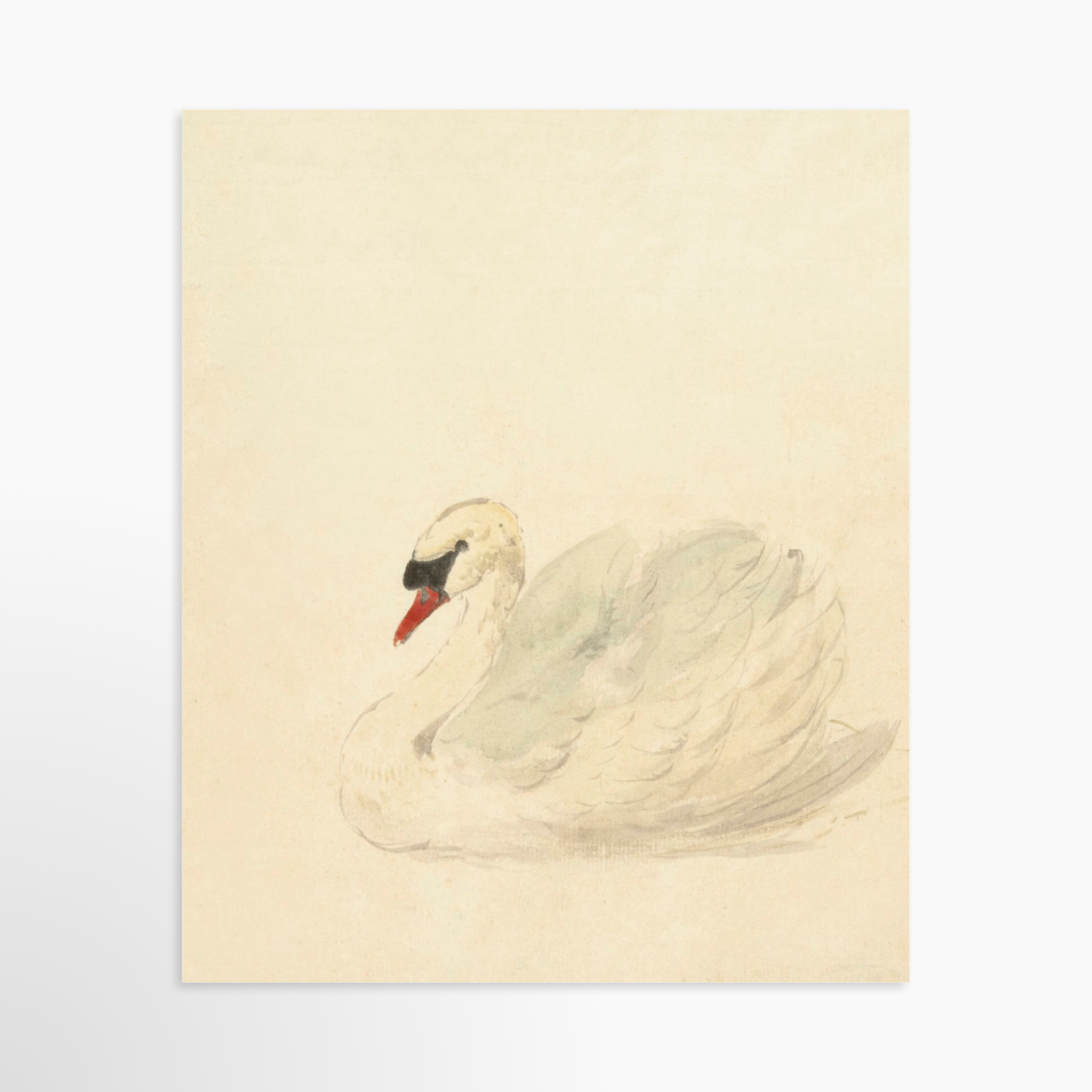 20x25 / Luxe Art Print (Unframed)