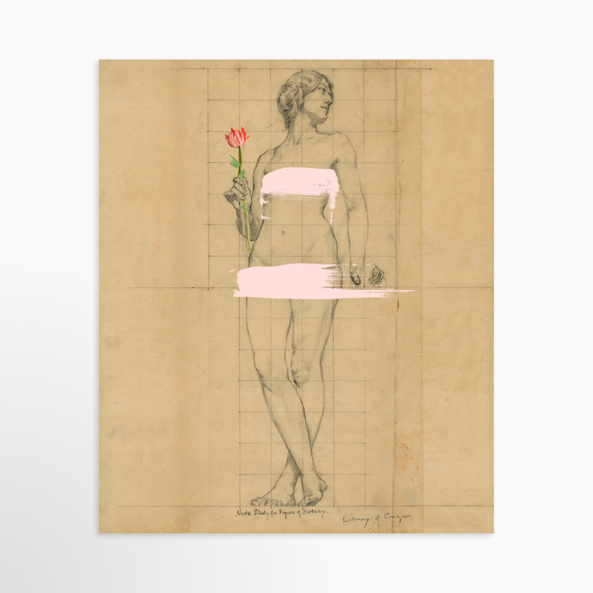 20x25 / Luxe Art Print (Unframed)