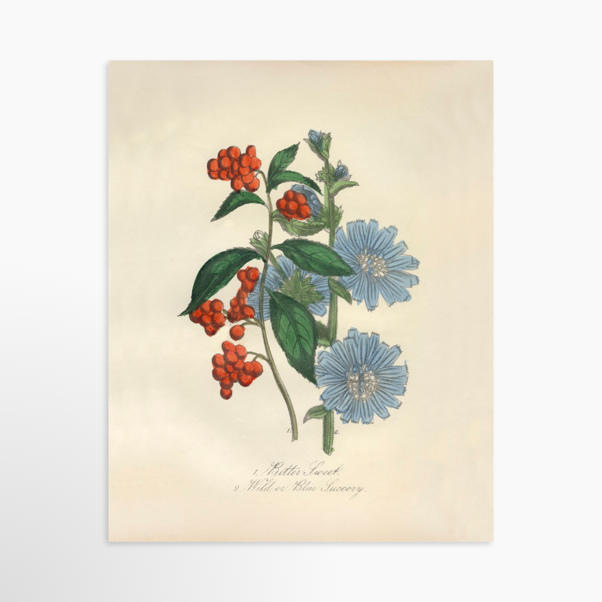 8x10 / Luxe Art Print (Unframed)