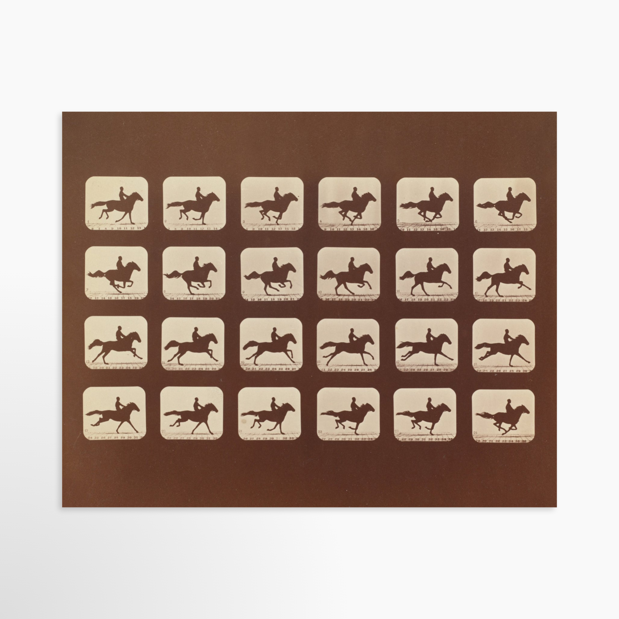 8x10 / Unframed Art Print