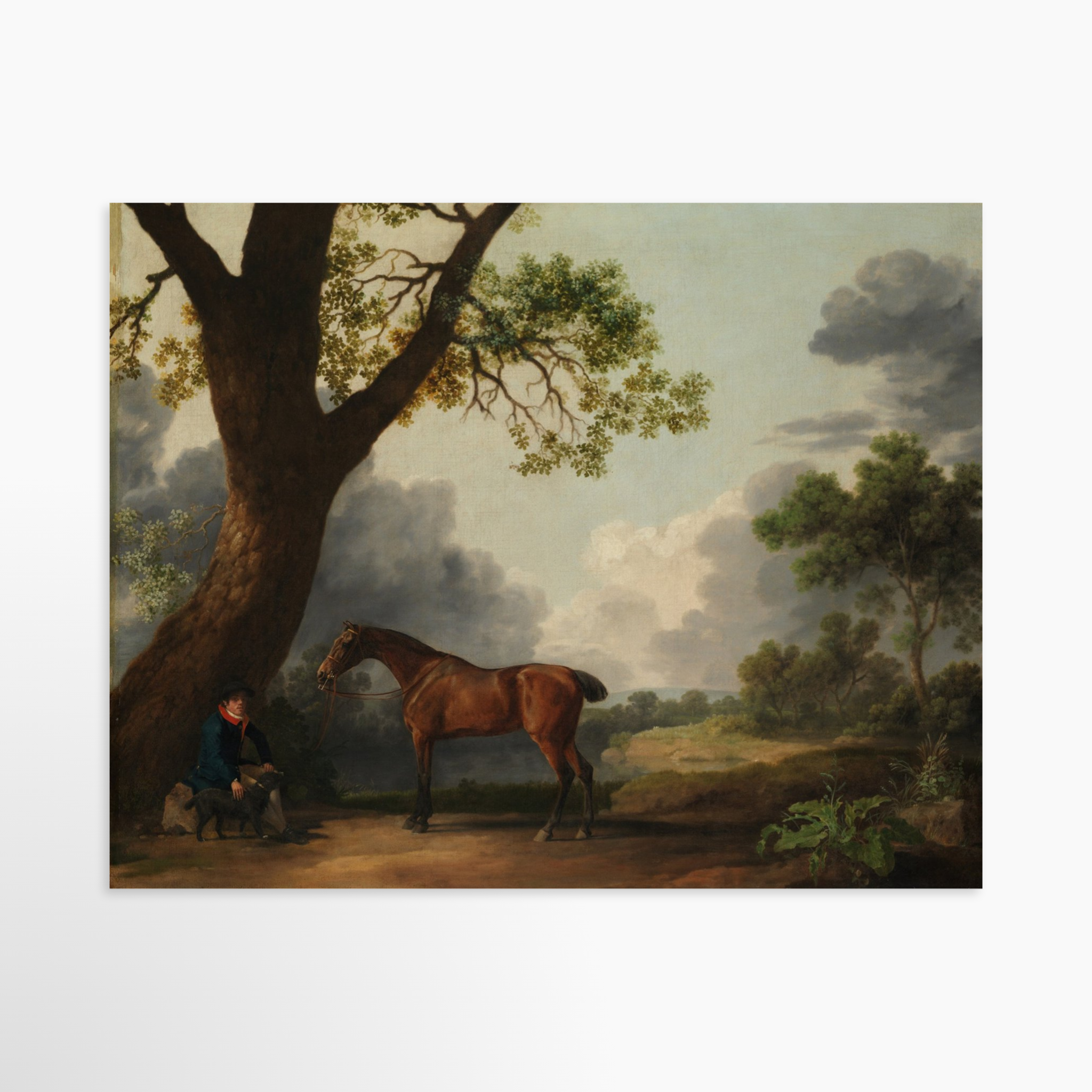 14x11 / Unframed Art Print