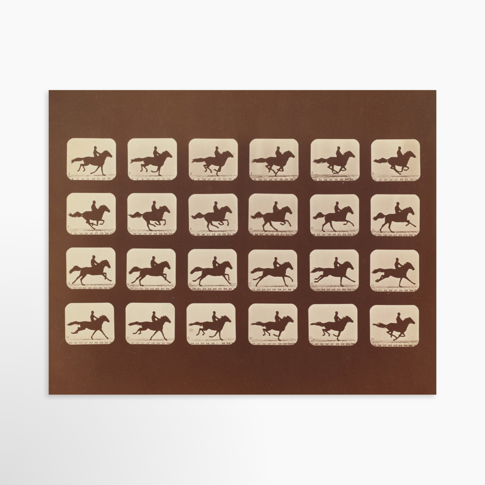 30x24 / Unframed Art Print