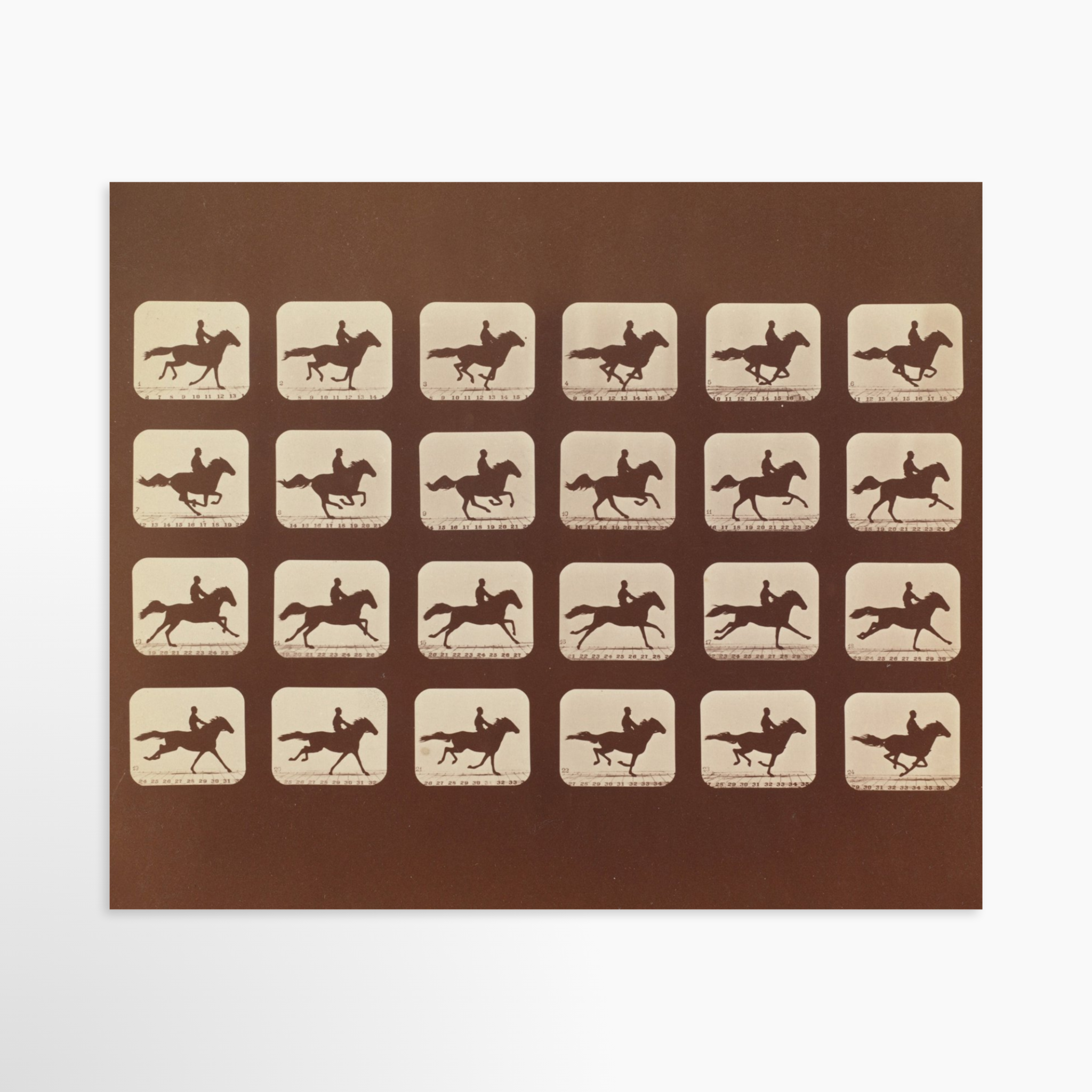 24x20 / Unframed Art Print