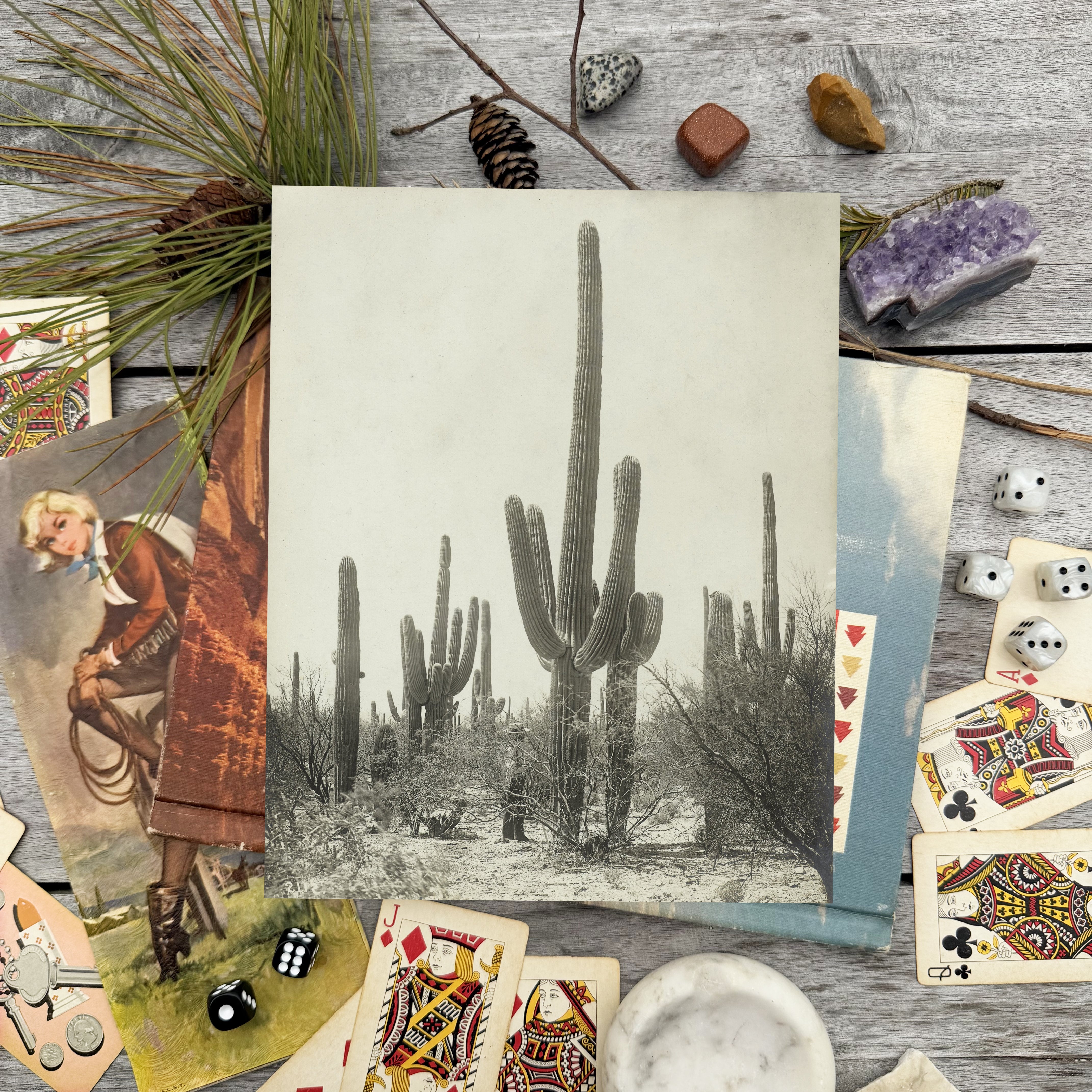 Shade of the Saguaro Luxe Art Print