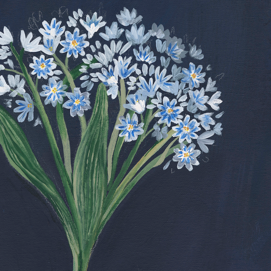 Little Blue Flowers Botanical Canvas Wall Art
