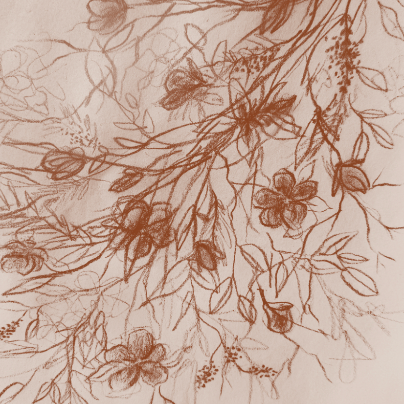 Sepia Wildflower Canvas Wall Art