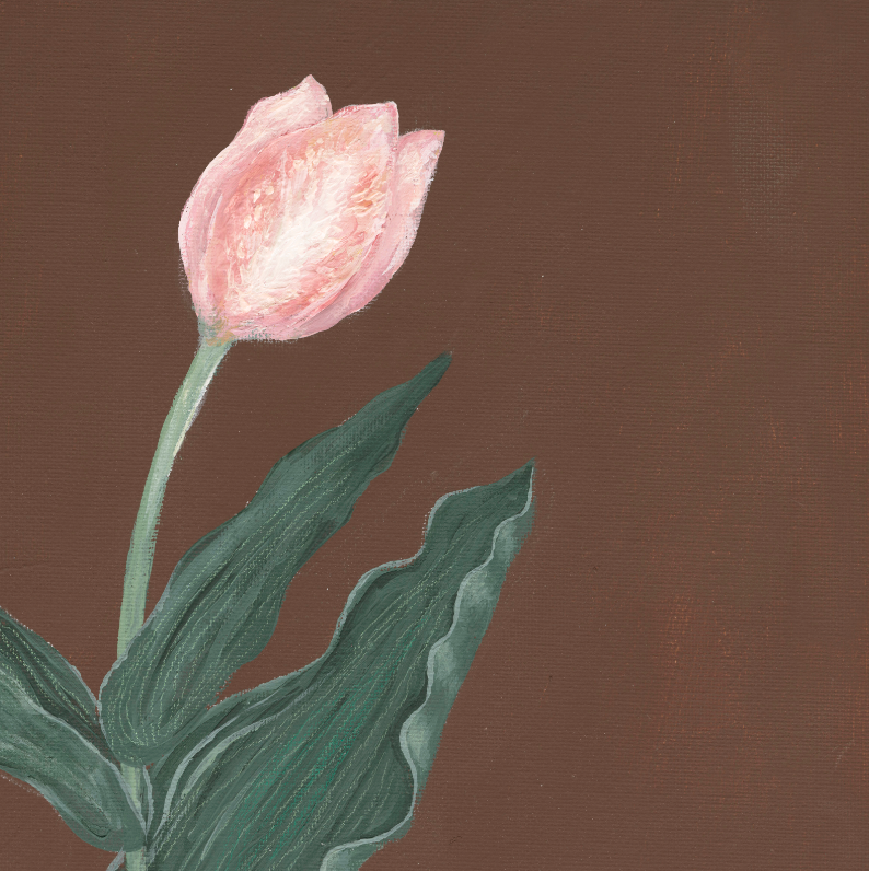 Pink Tulip Botanical Canvas Wall Art . Rectangle