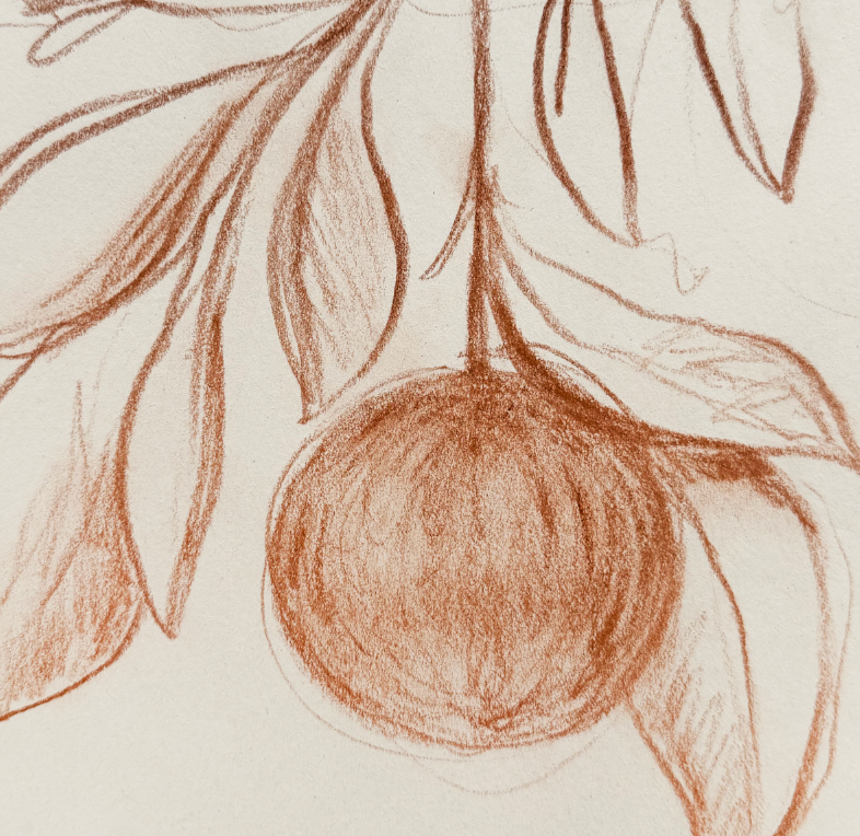 Sepia Pom Sketch Luxe Art Print