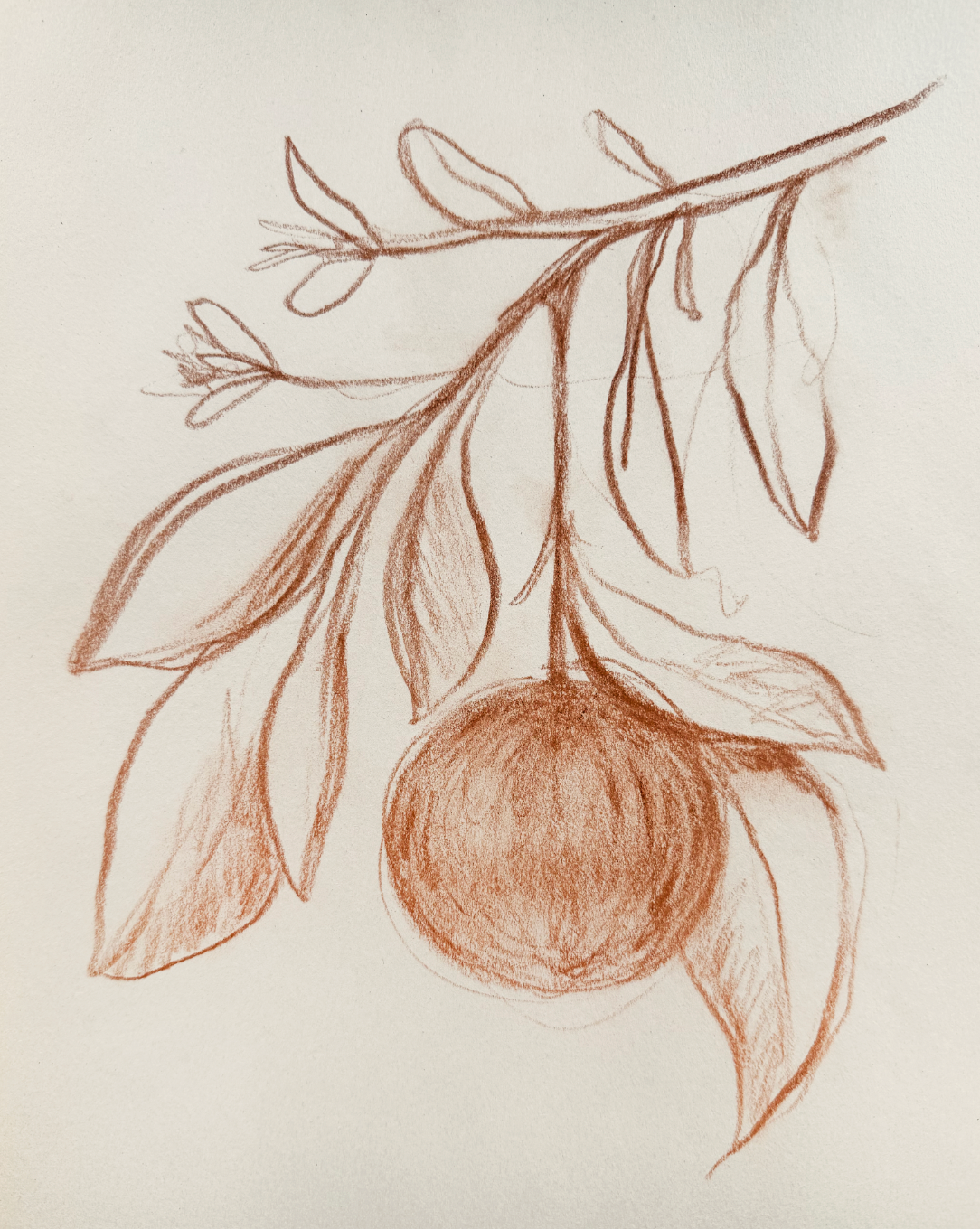 Sepia Pom Sketch Luxe Art Print