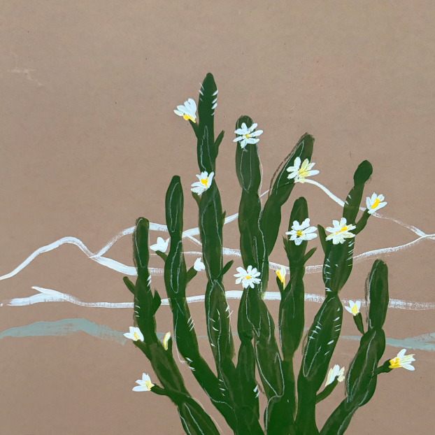 Blooming Cactus Canvas Wall Art
