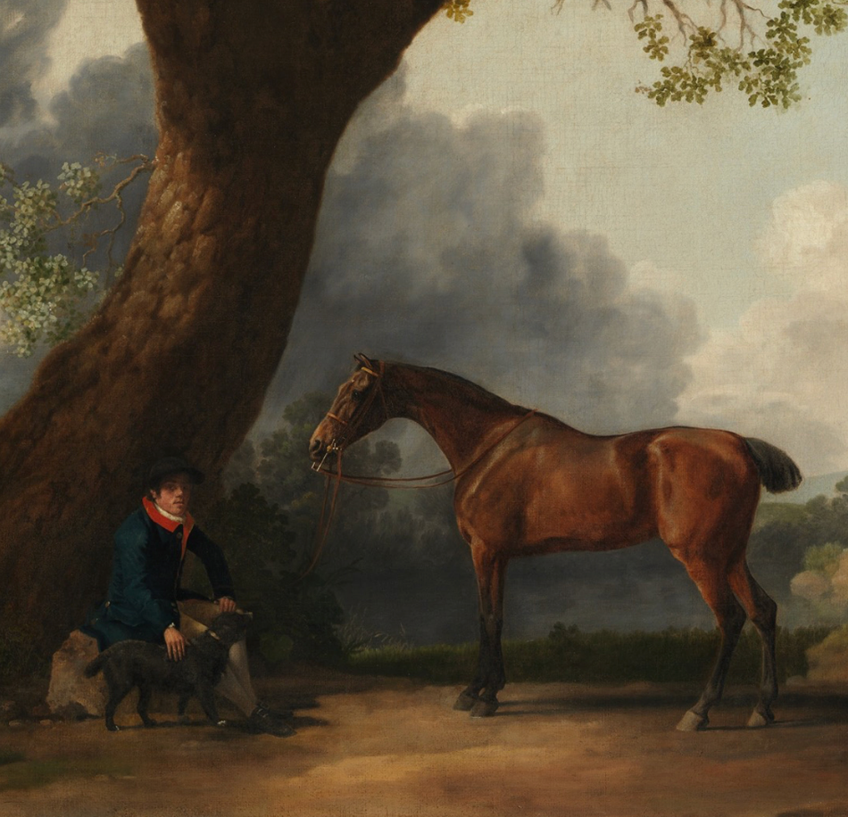 Man Resting With Horse Luxe Art Print