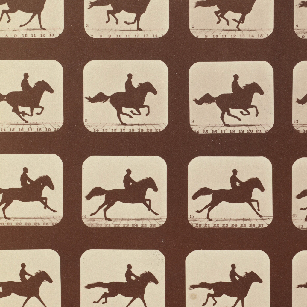 Horse on Film Art Print (Framing Available!)