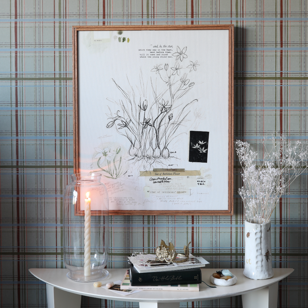 Star of Bethlehem Flower | Canvas