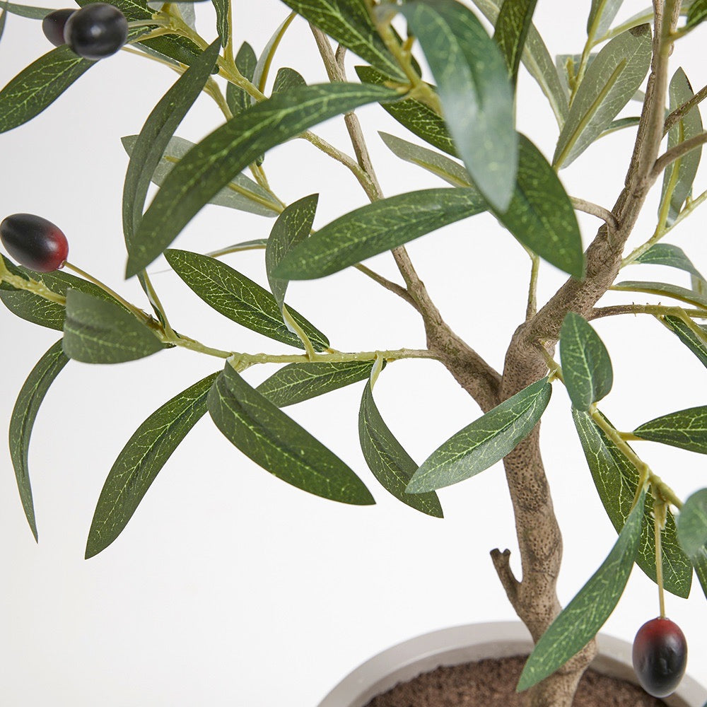 Artificial Olive Topiary Tree with Mediterranean Pot