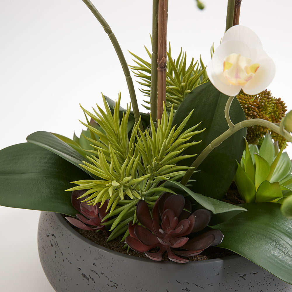 Artificial Orchid with Succulents