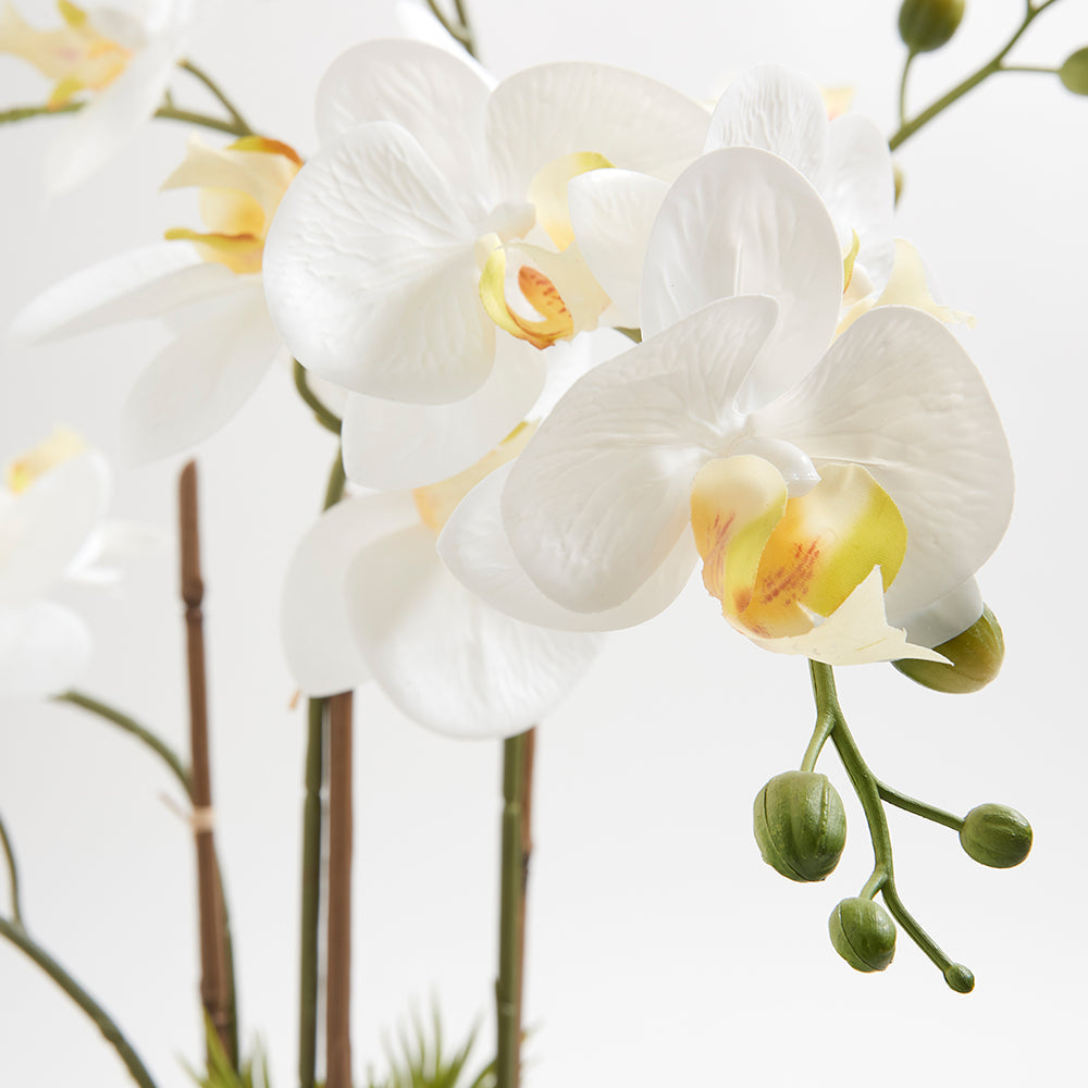 Artificial Orchid with Succulents