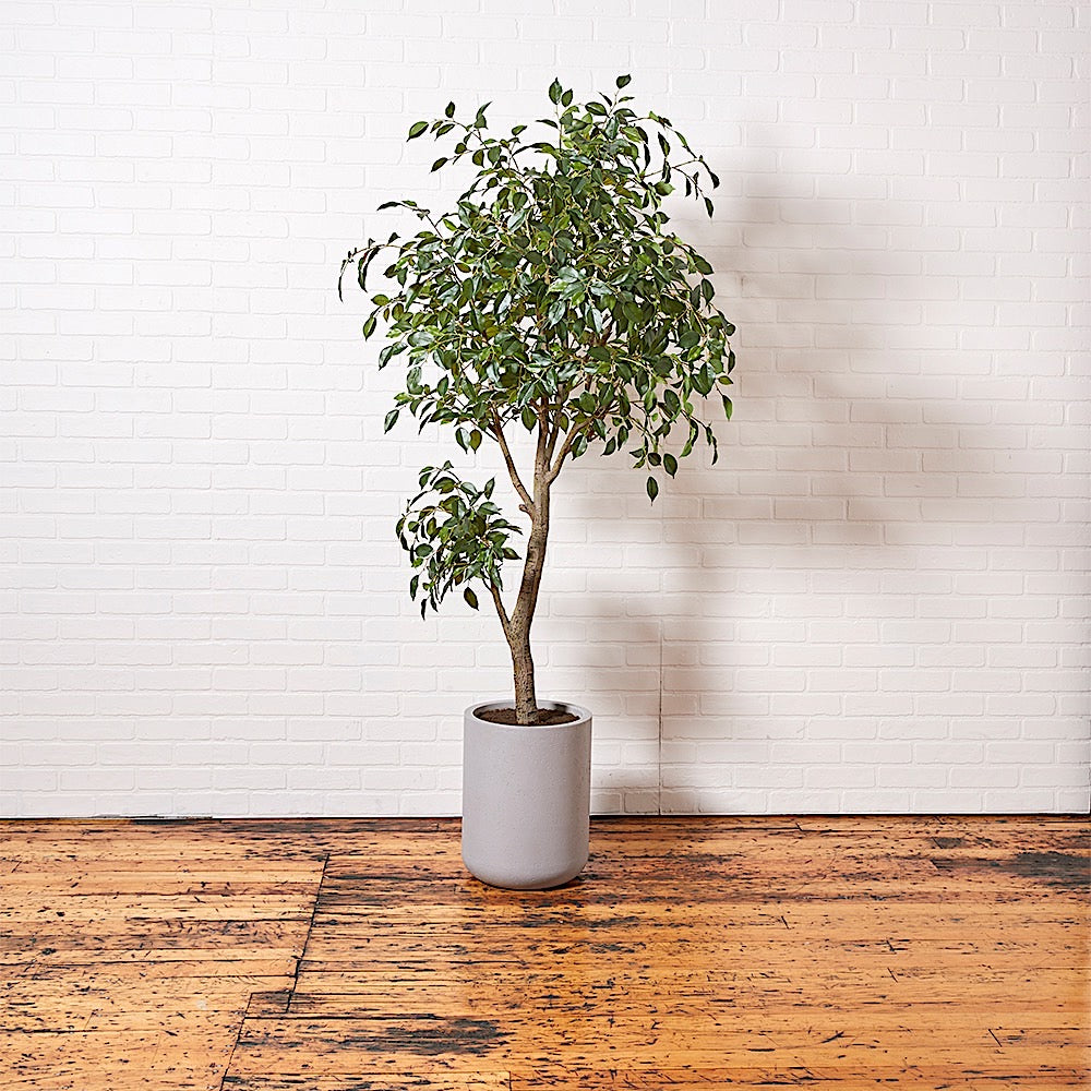 Artificial Ficus Tree with Artisan Planter