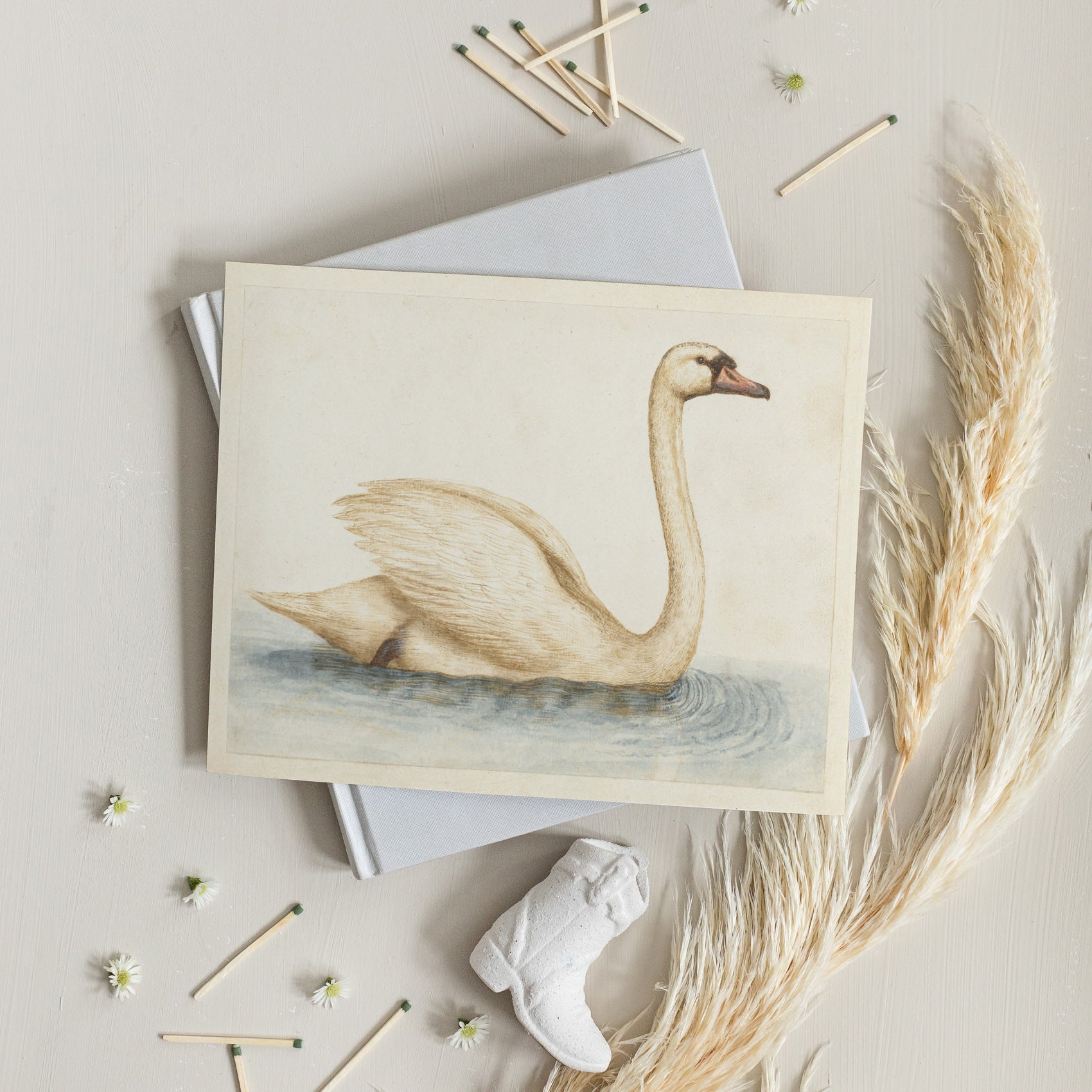 Vintage Swan | Canvas