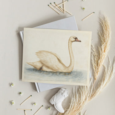 Vintage Swan | Canvas