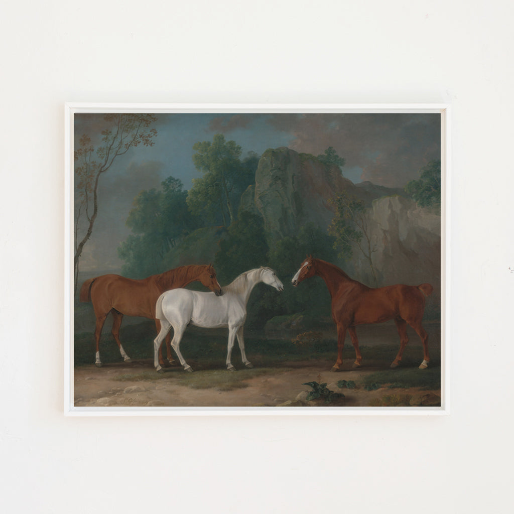 Three Horses | Canvas