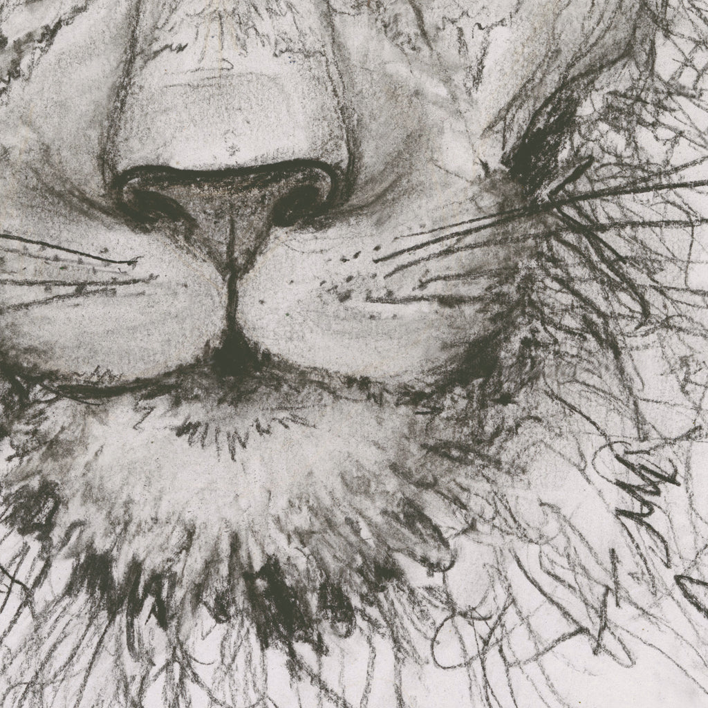 Aslan Luxe Art Print