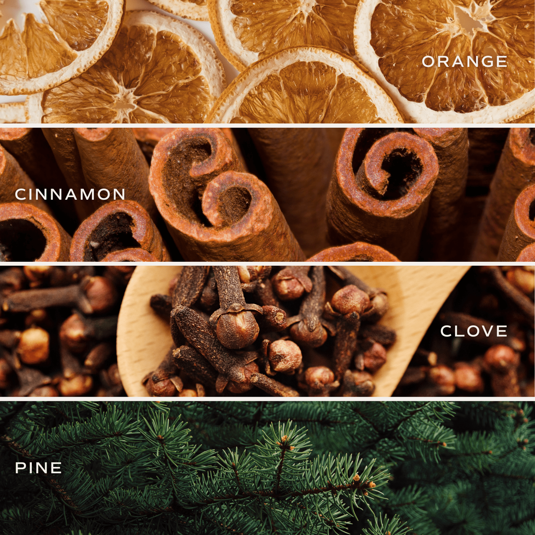 Warm and Cozy Soy Candle (Tinted Glass Jar 12 oz)