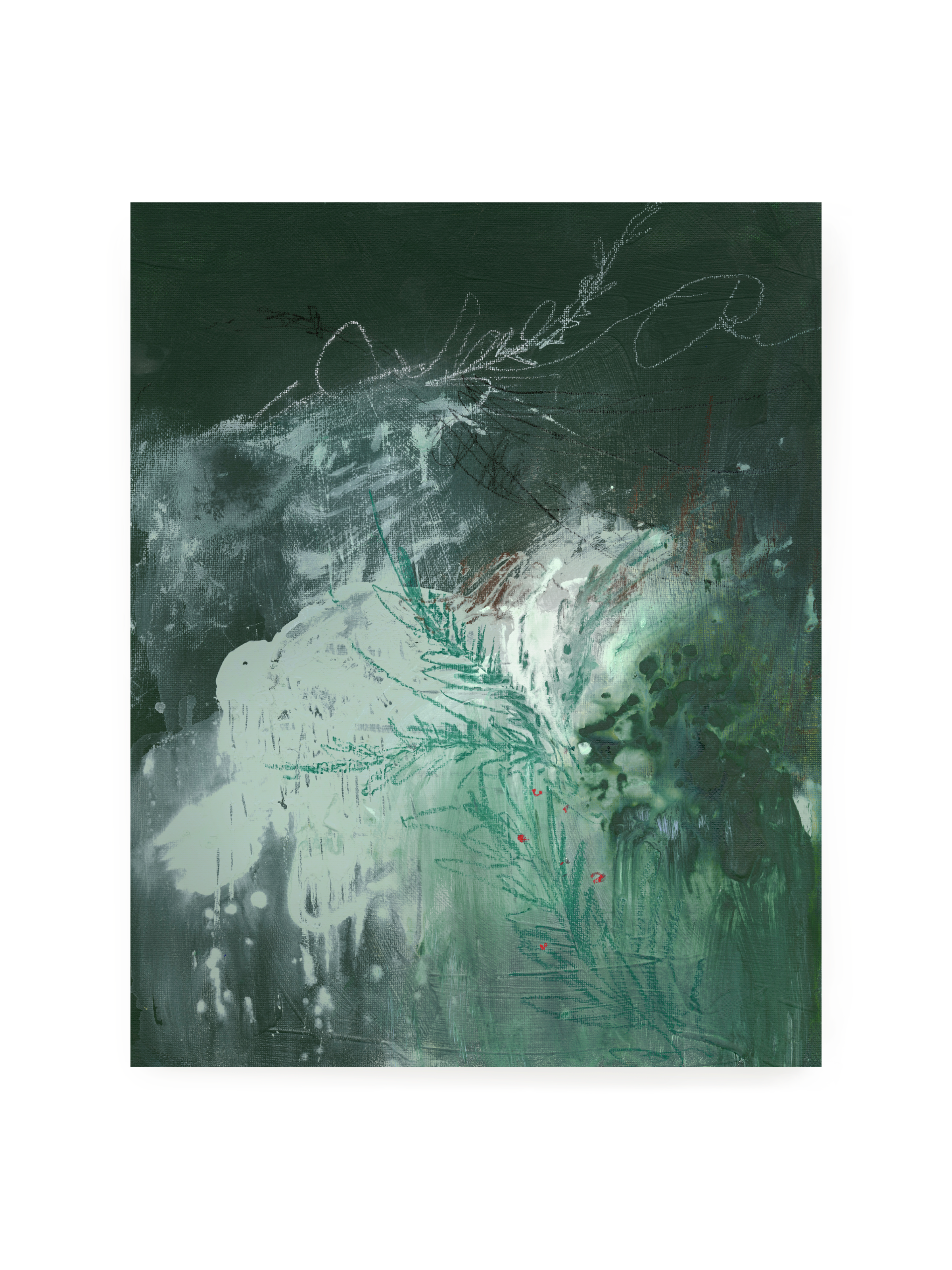 Balsam & Berries | Art Print