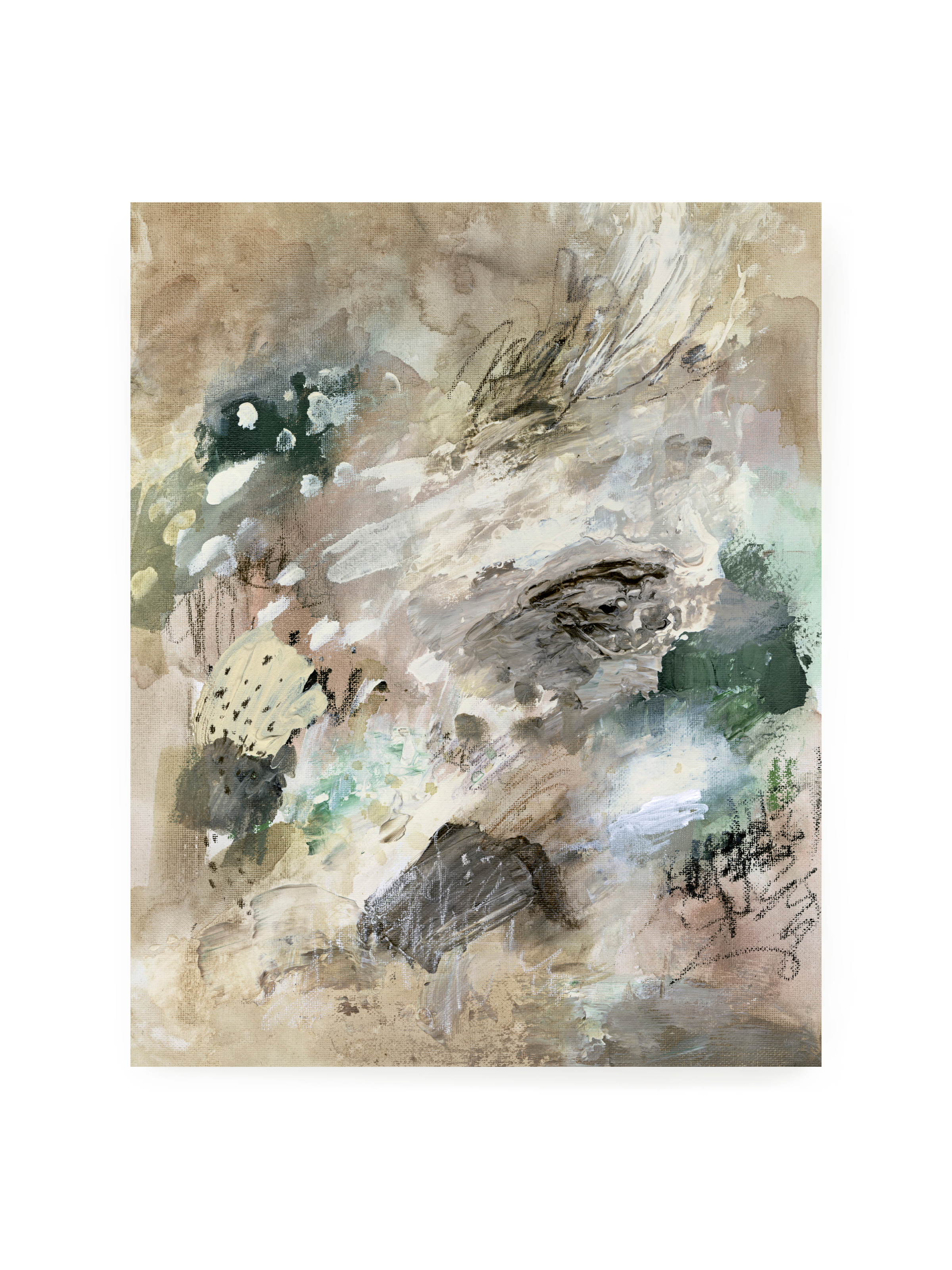 Biscotti | Art Print