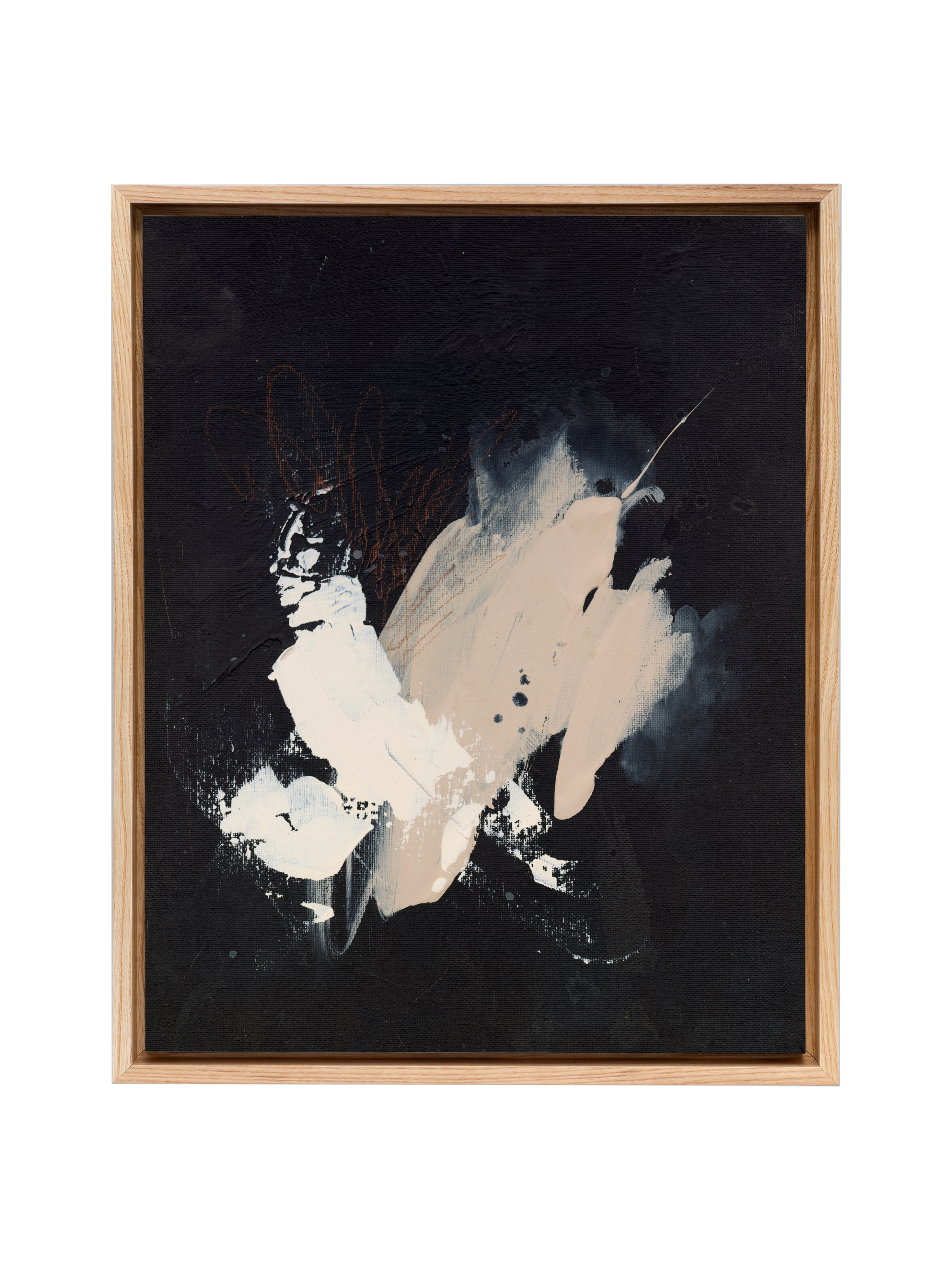 Black Sesame | Canvas