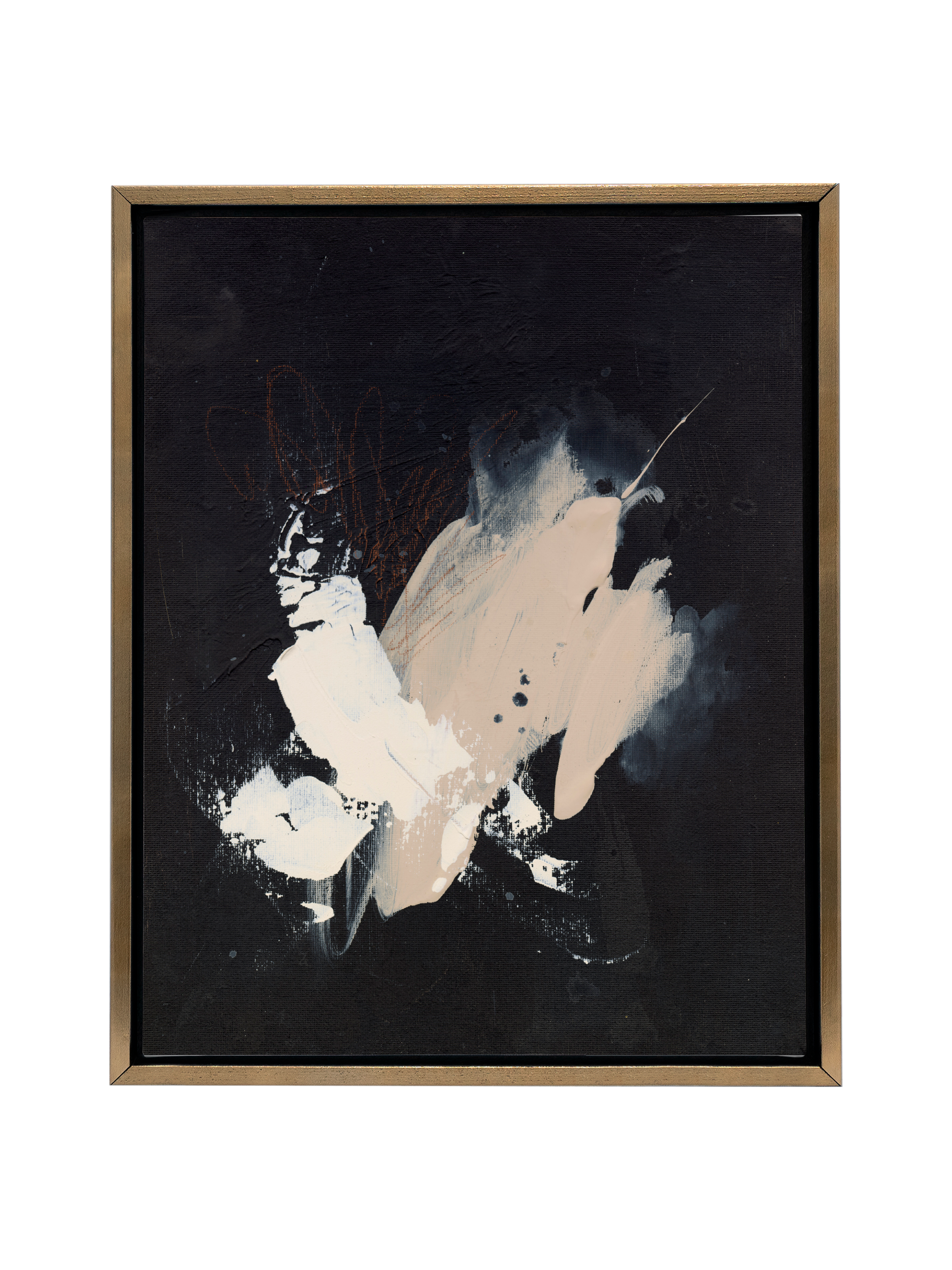 Black Sesame | Canvas