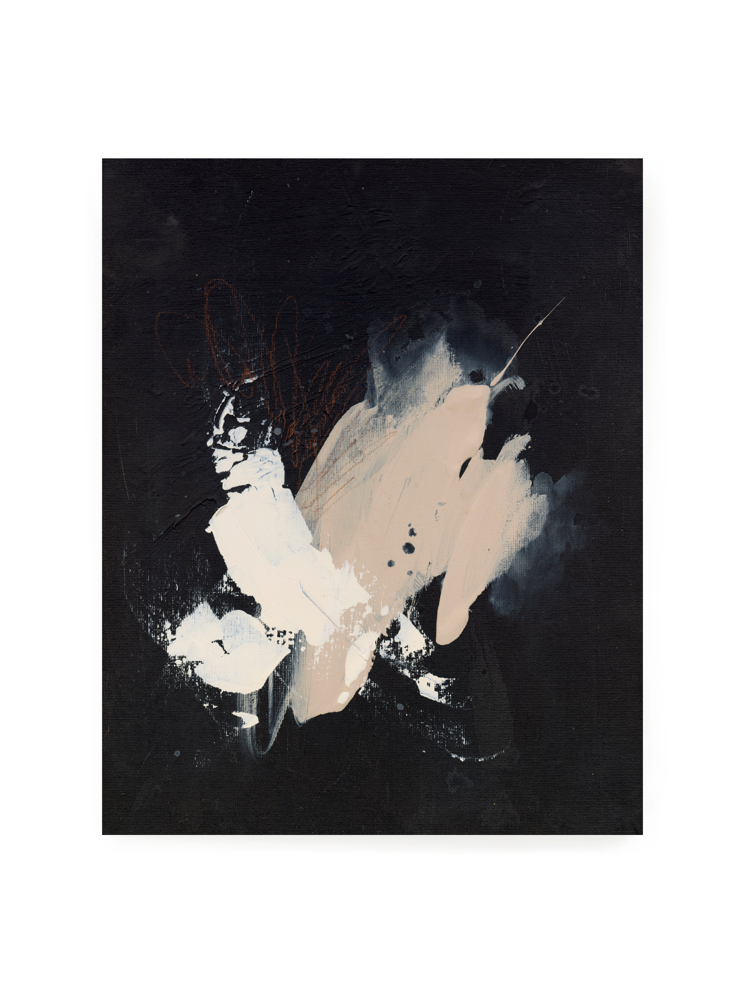 Black Sesame | Art Print