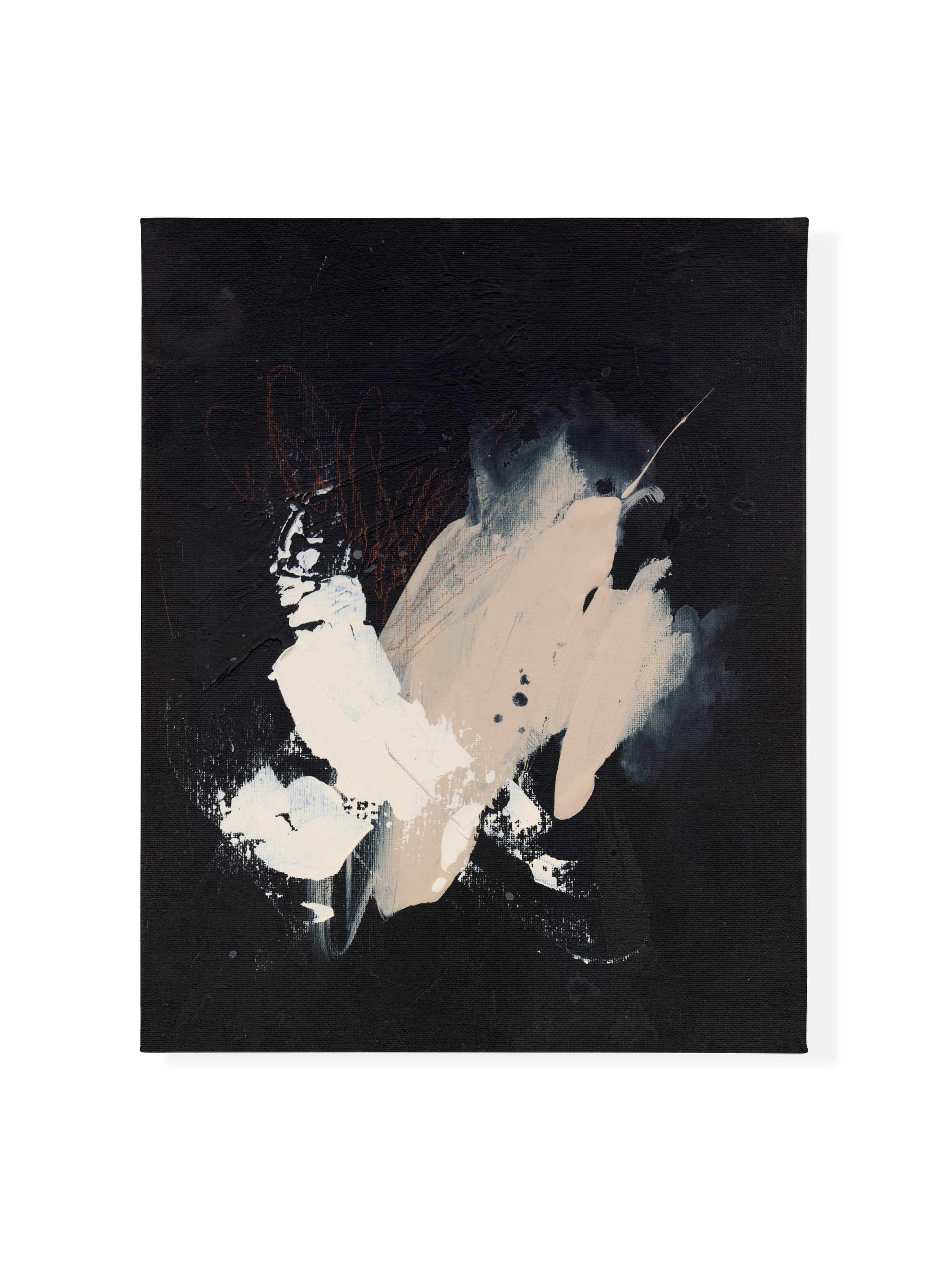 Black Sesame | Canvas