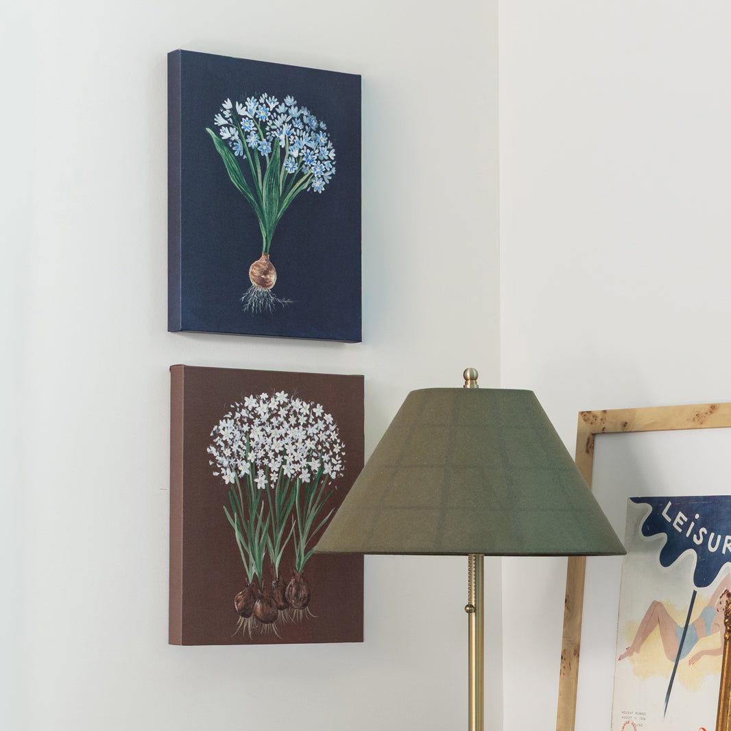Paperwhite Botanical Canvas Wall Art