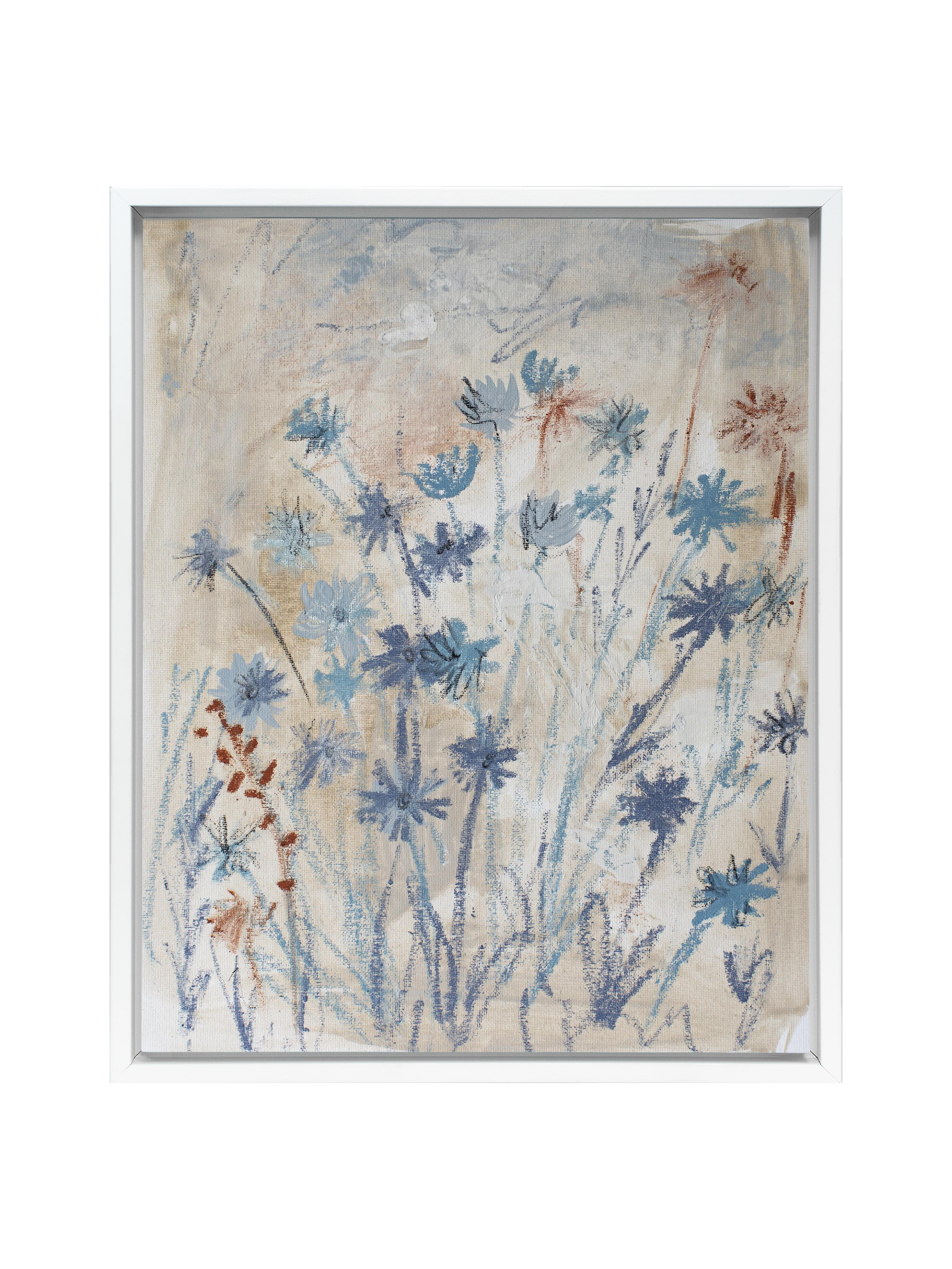 Chicory on Ash | Canvas
