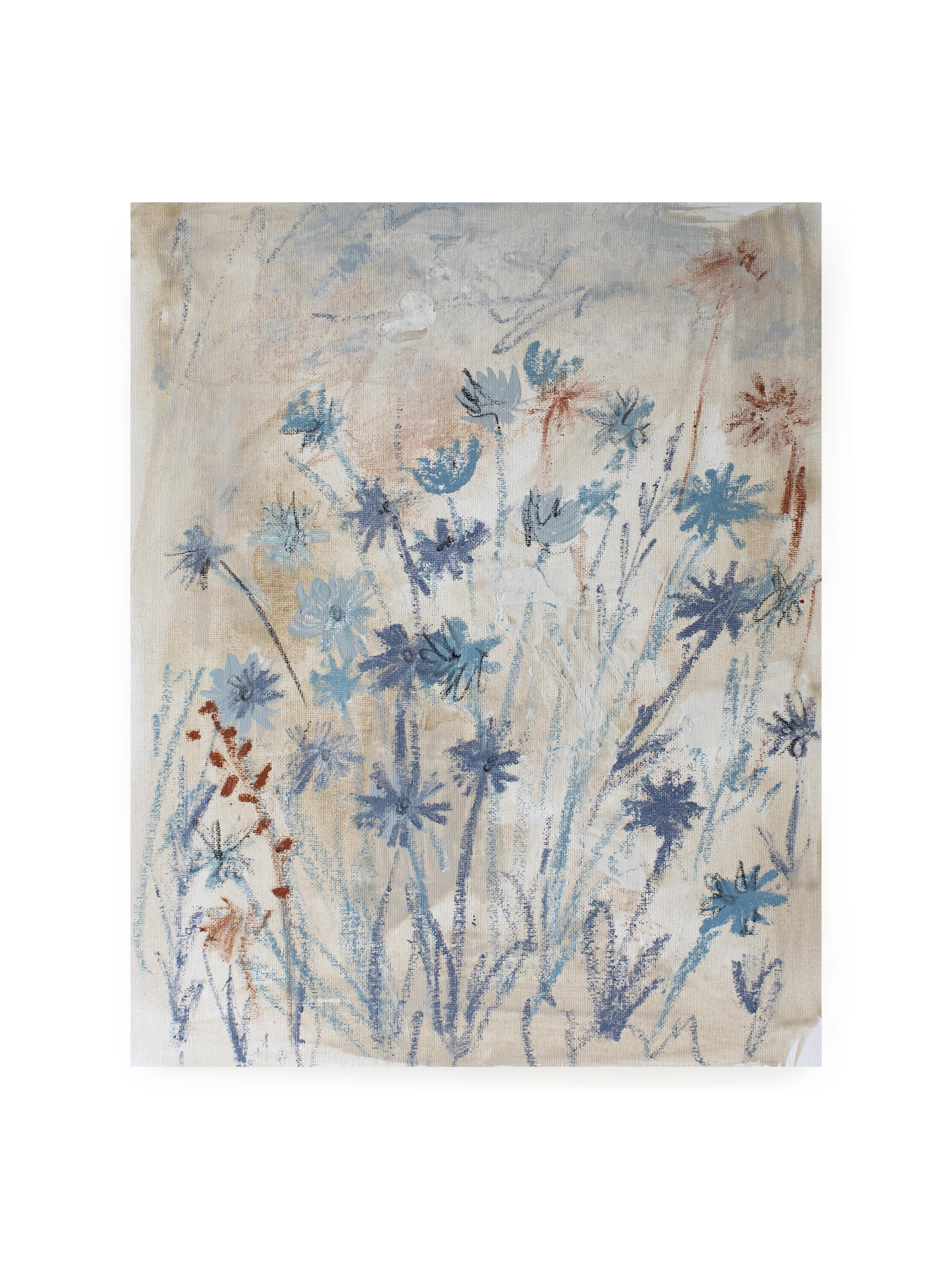 Chicory on Ash | Art Print
