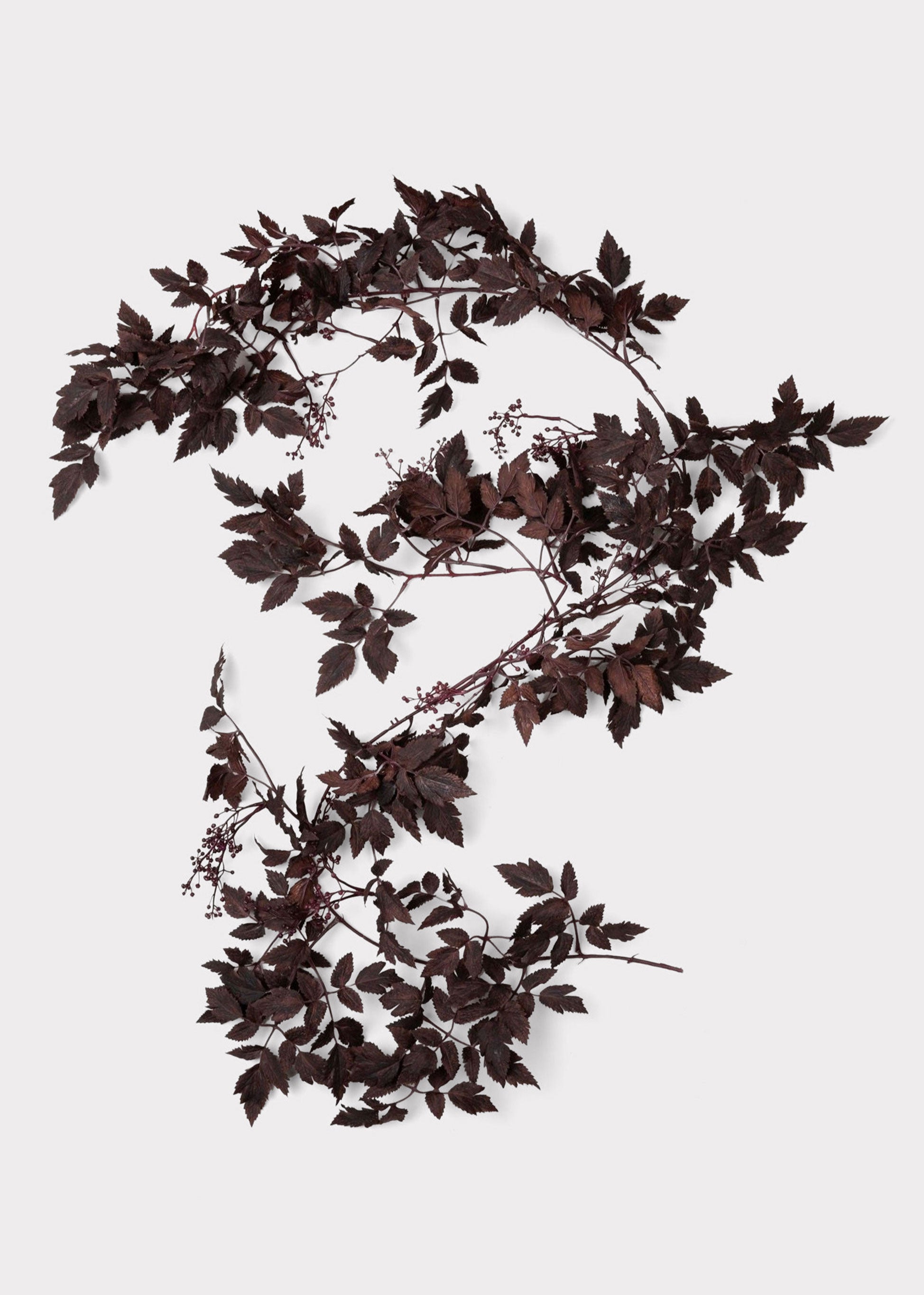 Plum Cimicifuga Seeded Garland - 6'