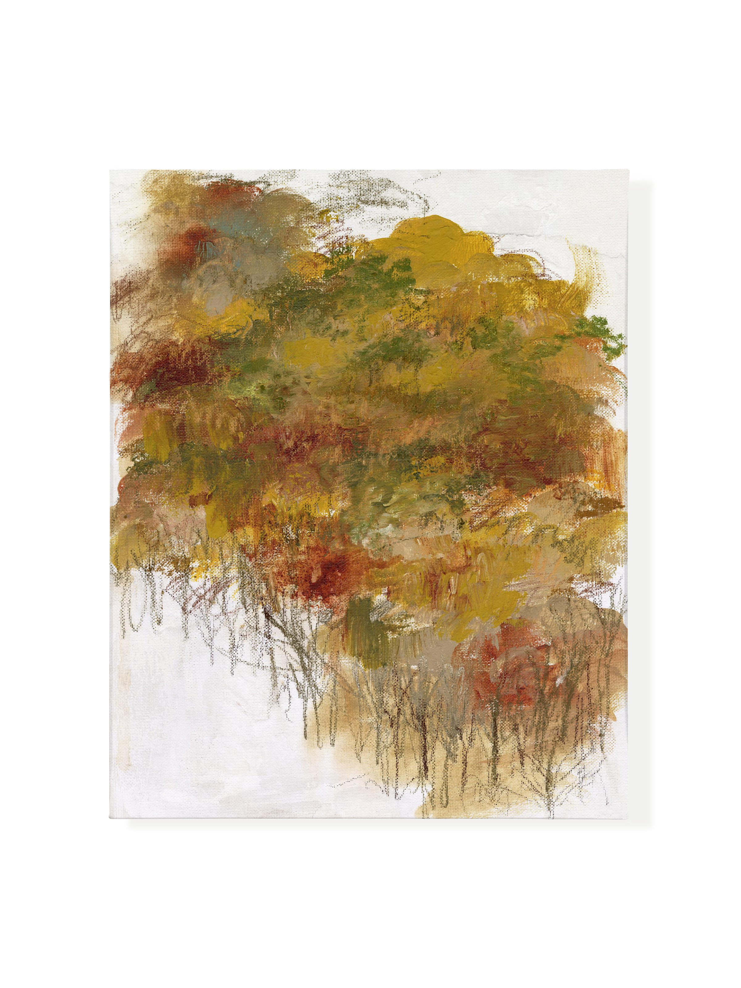 Driving Through Maine In The Fall | Canvas