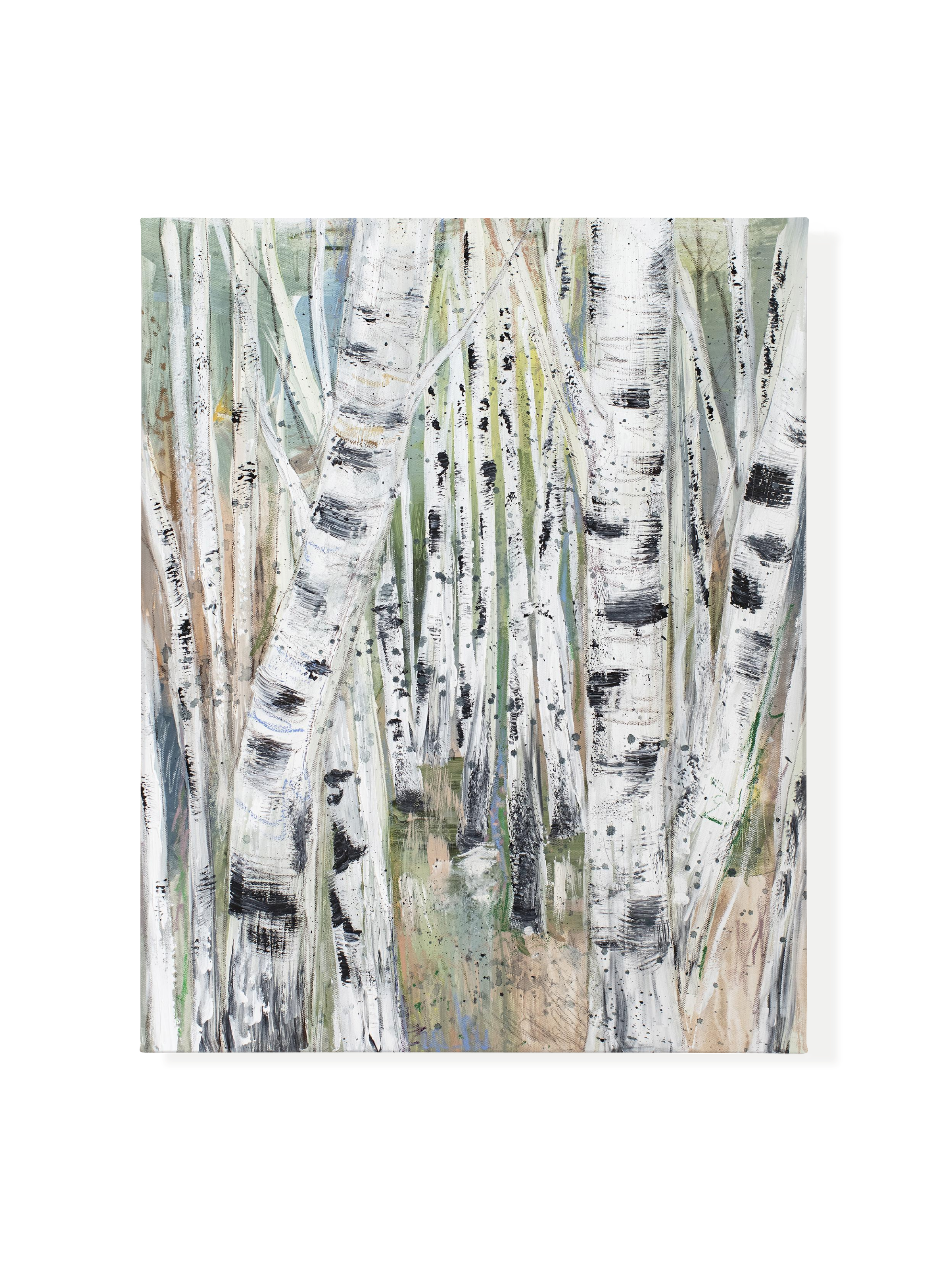 Enchanted River Birch | Canvas
